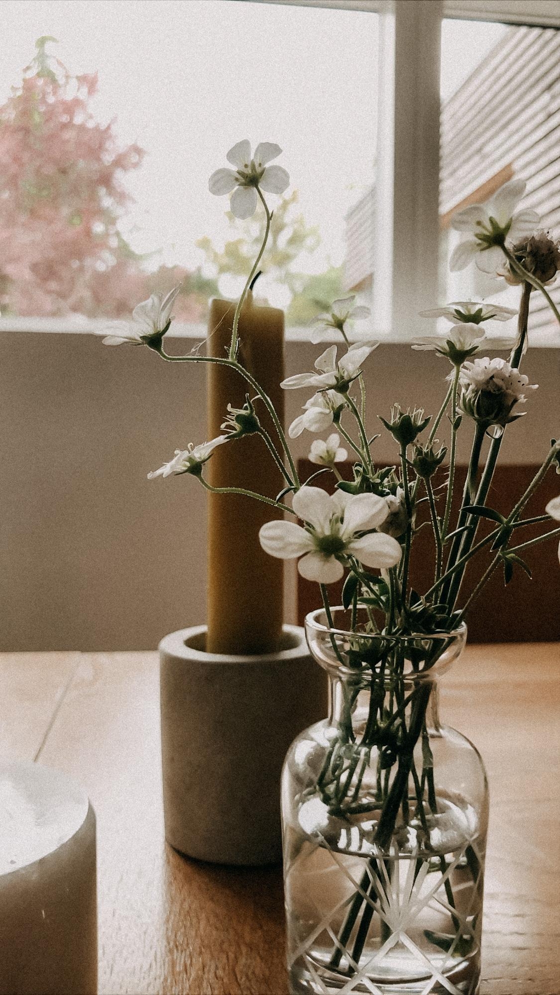 Eßzimmer with a view.
#flowers #minibouquet #vase #velfacfenster #fenster #gardenview