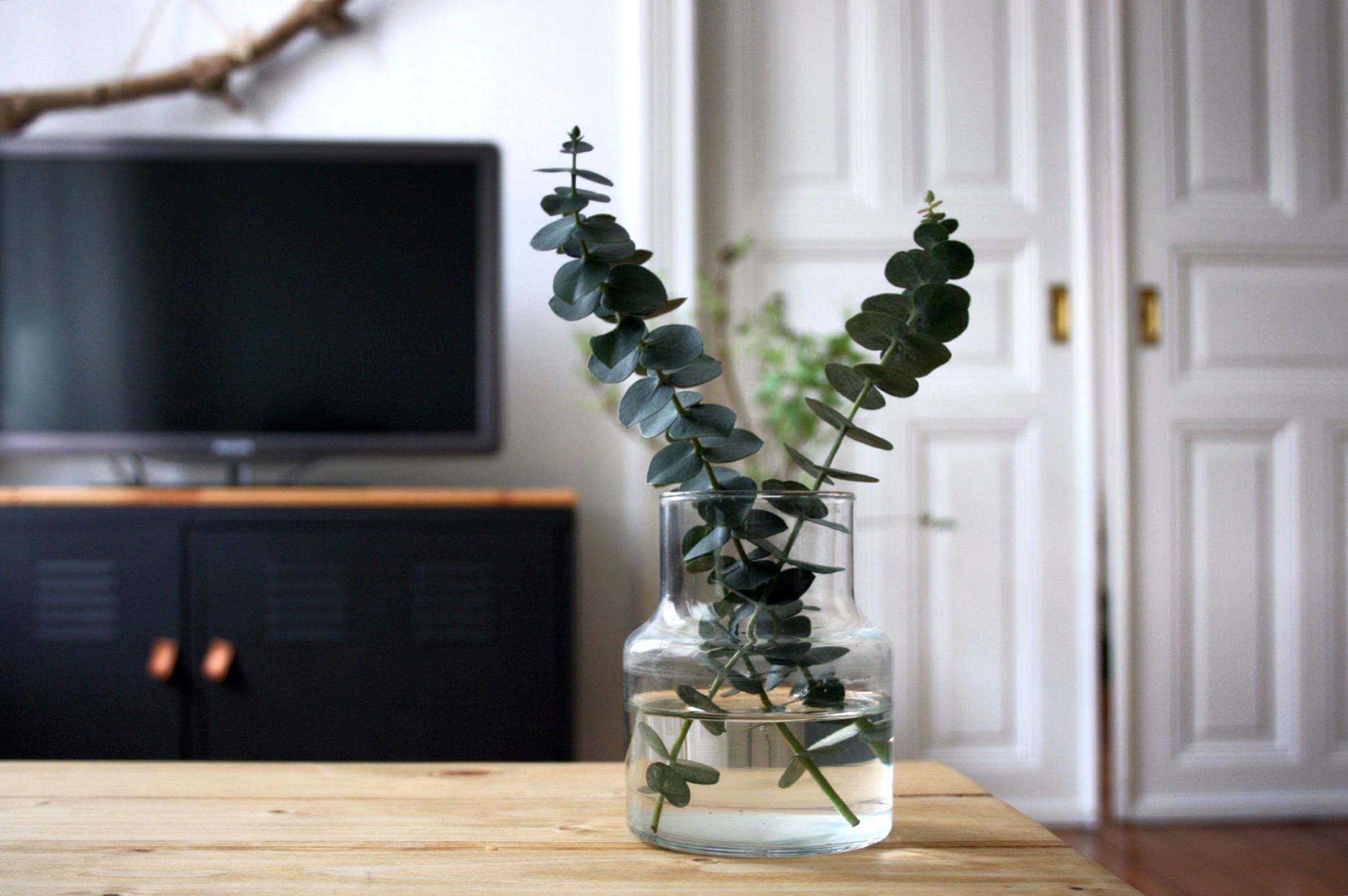 Eukalyptusliebe #wohnzimmer #altbau ©mintundmeer|Johanna M.
