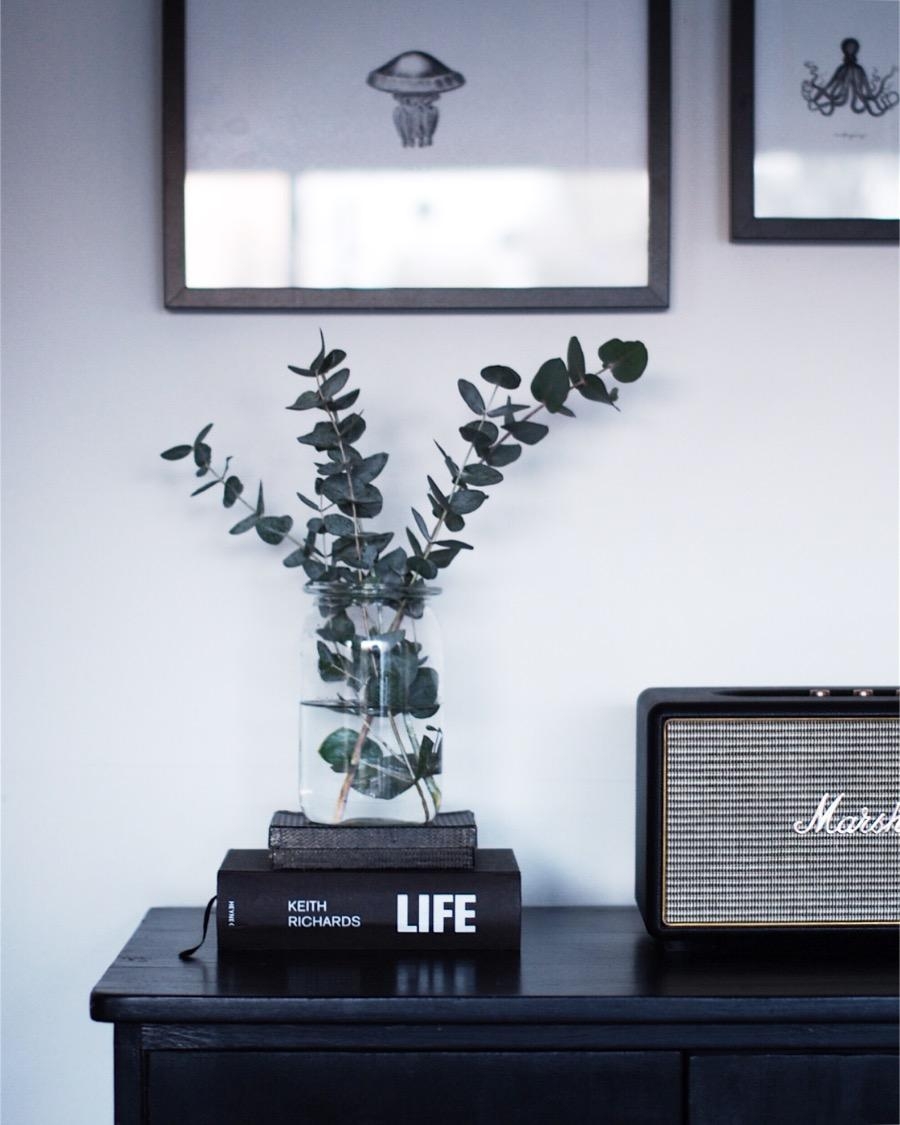 Eukalyptuszeit 
#eucalyptus #interior #livingroom #minimal #interiorinspo #herbst #herbstdeko