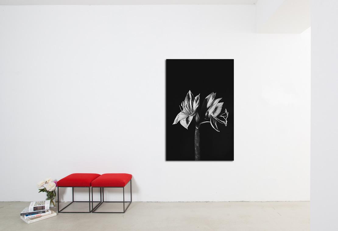 Evelyn Dragan "Flora" #galerie ©Pablo & Paul