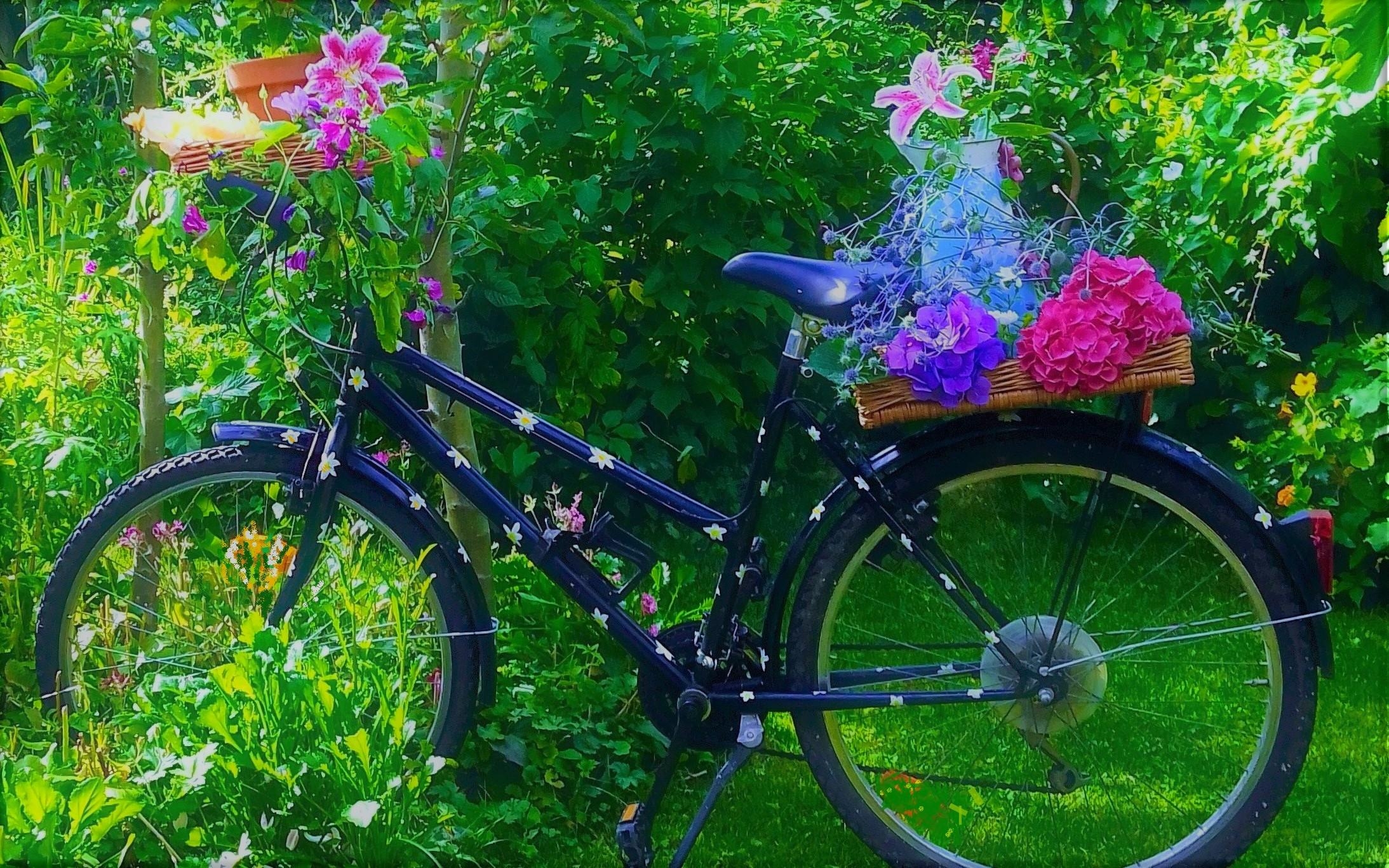 #FahrradliebtBlumen #Gartenimpression  #couchliebt