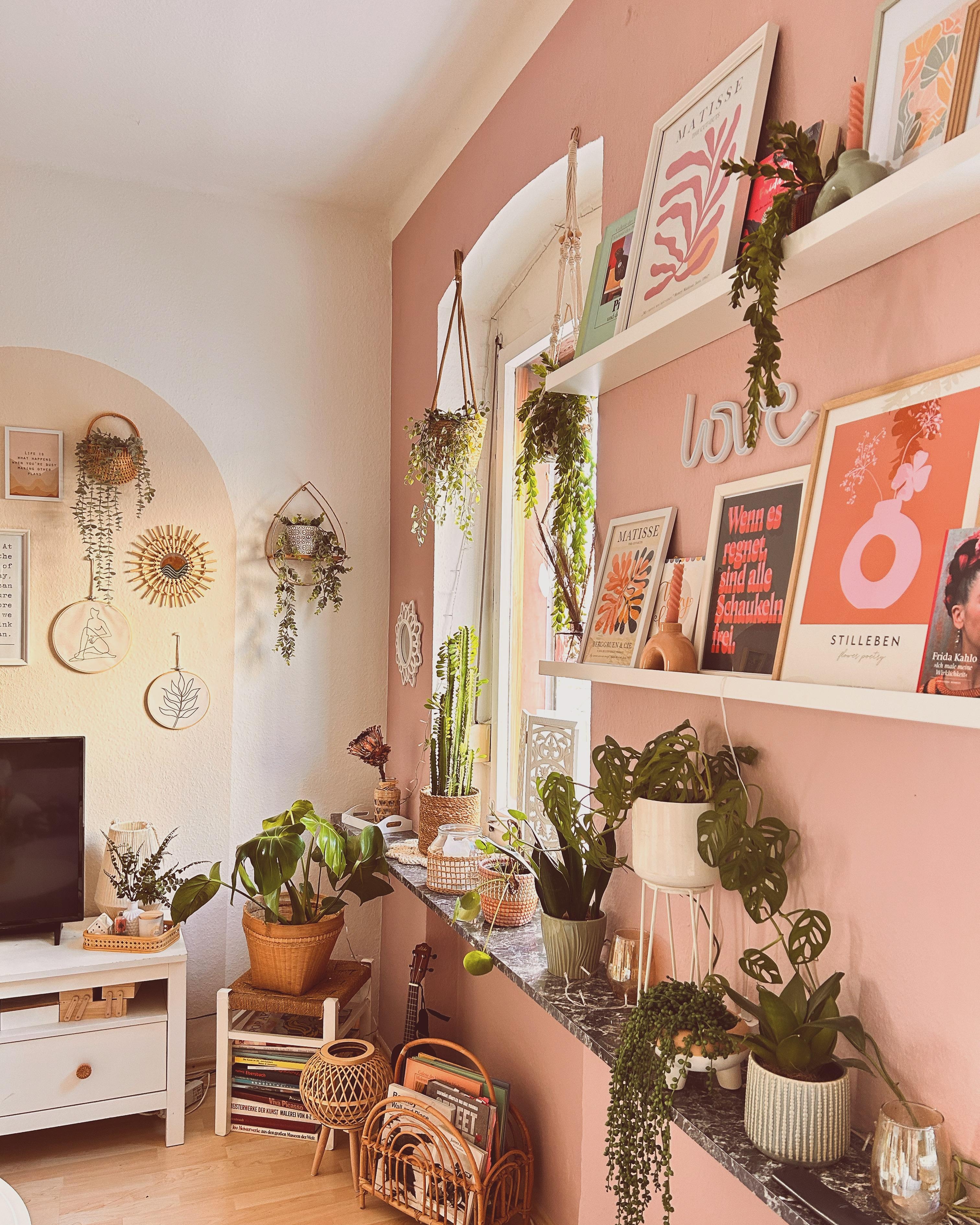 Farbenfroh und Pflanzenreich im Wohnzimmer 💕🌿 