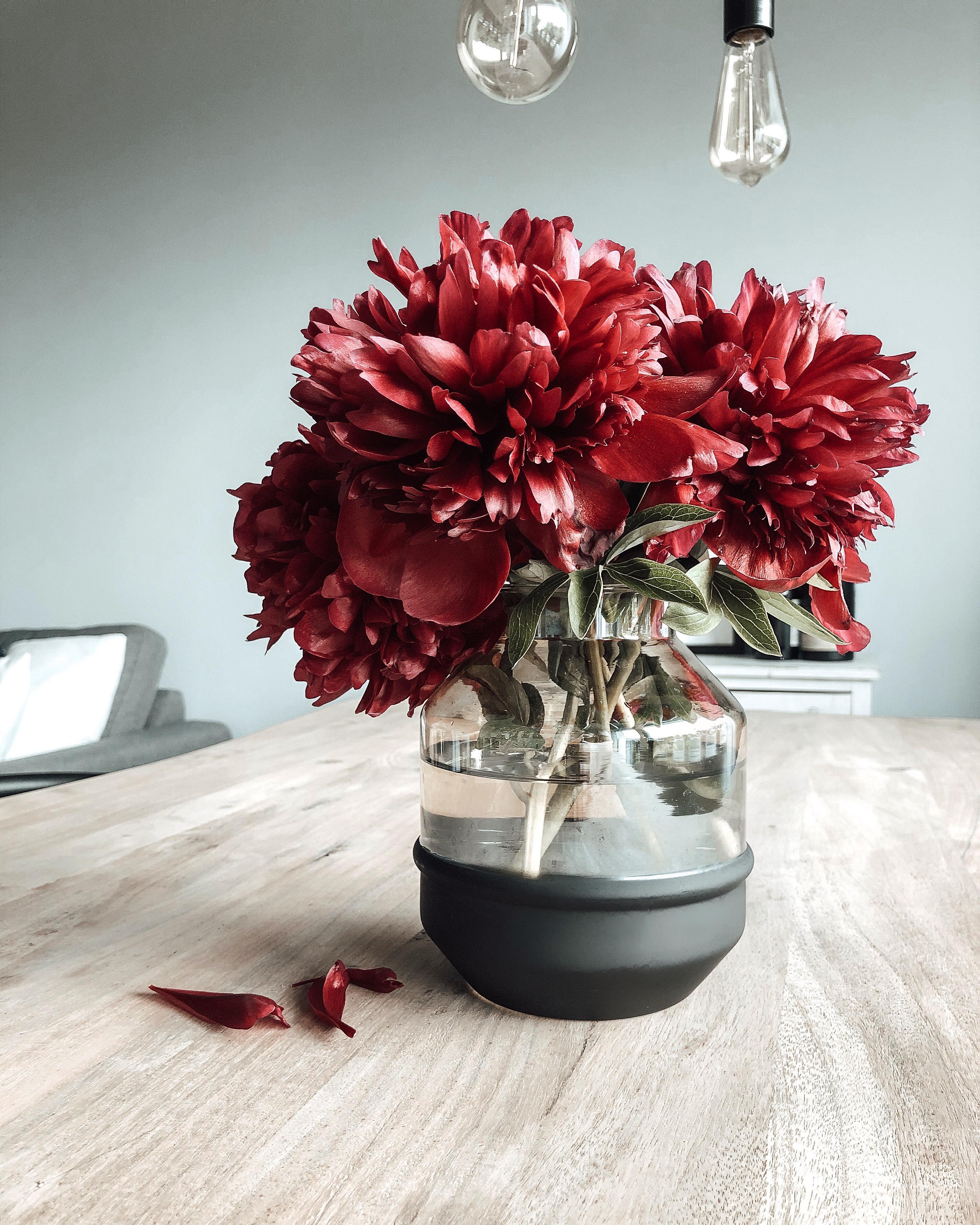 Fast verblüht und doch so schön! 🥀 #pfingstrosen #blumen #rosen #vase #freshflowers 