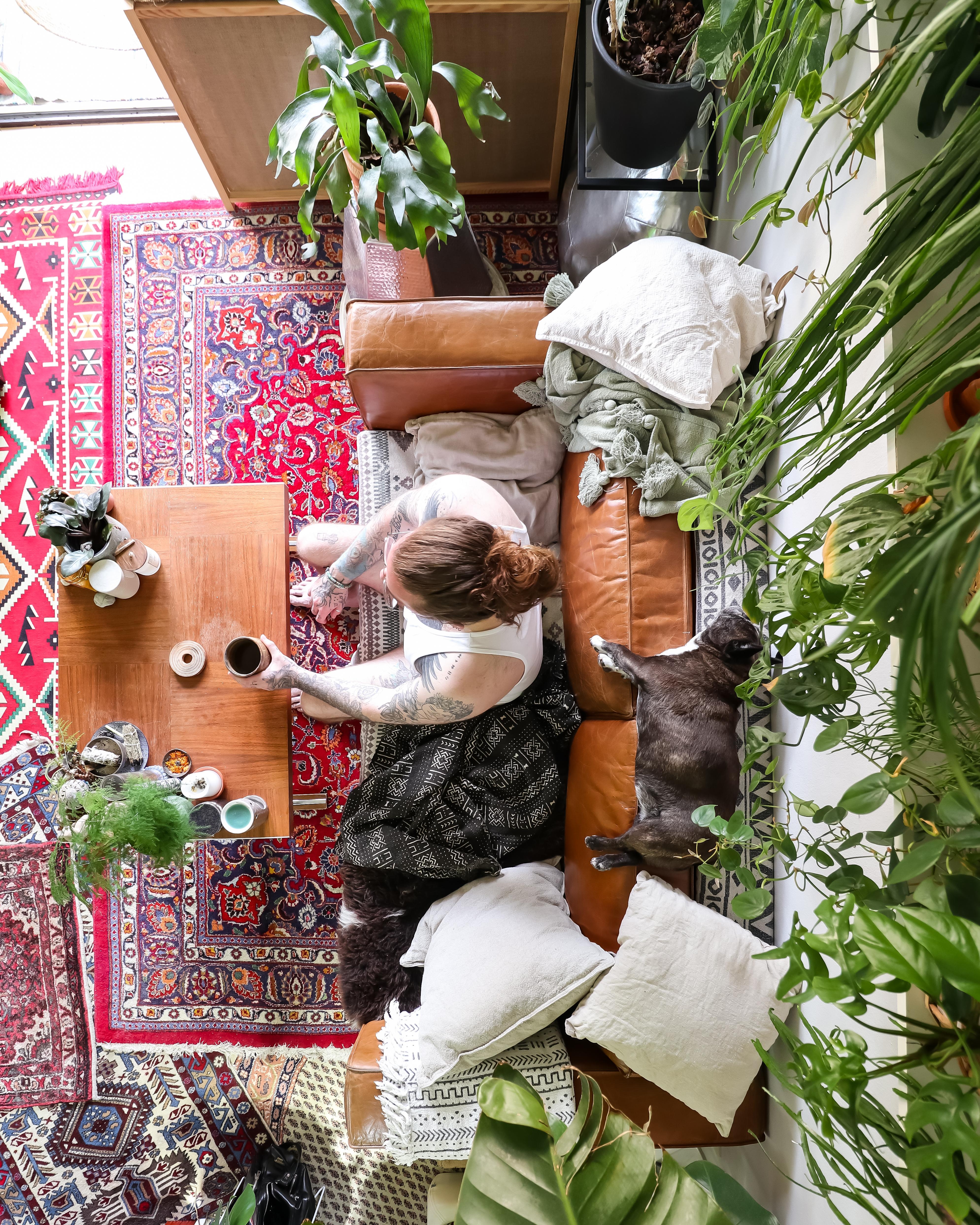 Feierabend #Wohnzimmer #couchstyle #Couch #Tisch #Sofa #Pflanzen #hygge 