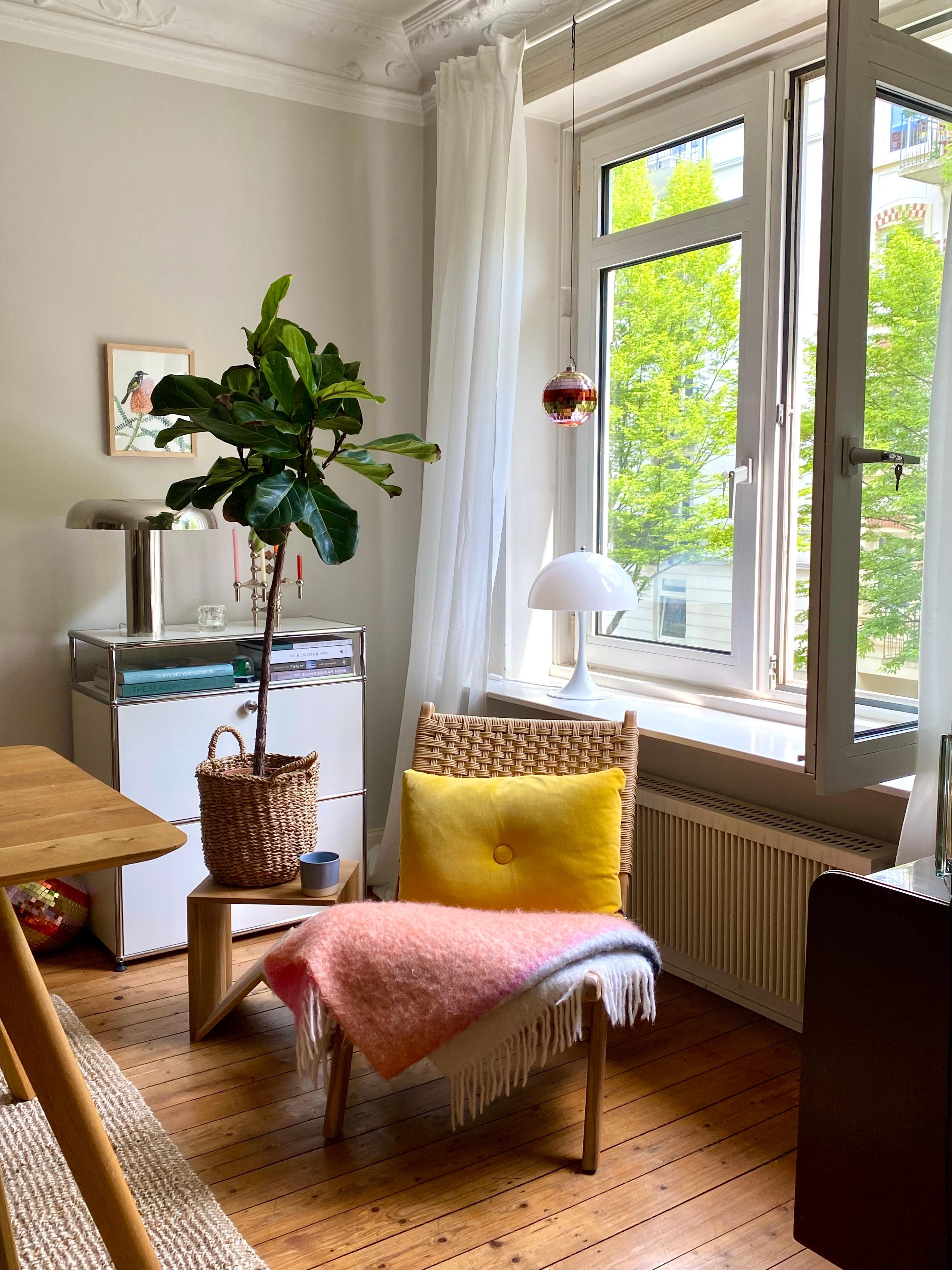 Fenster auf 