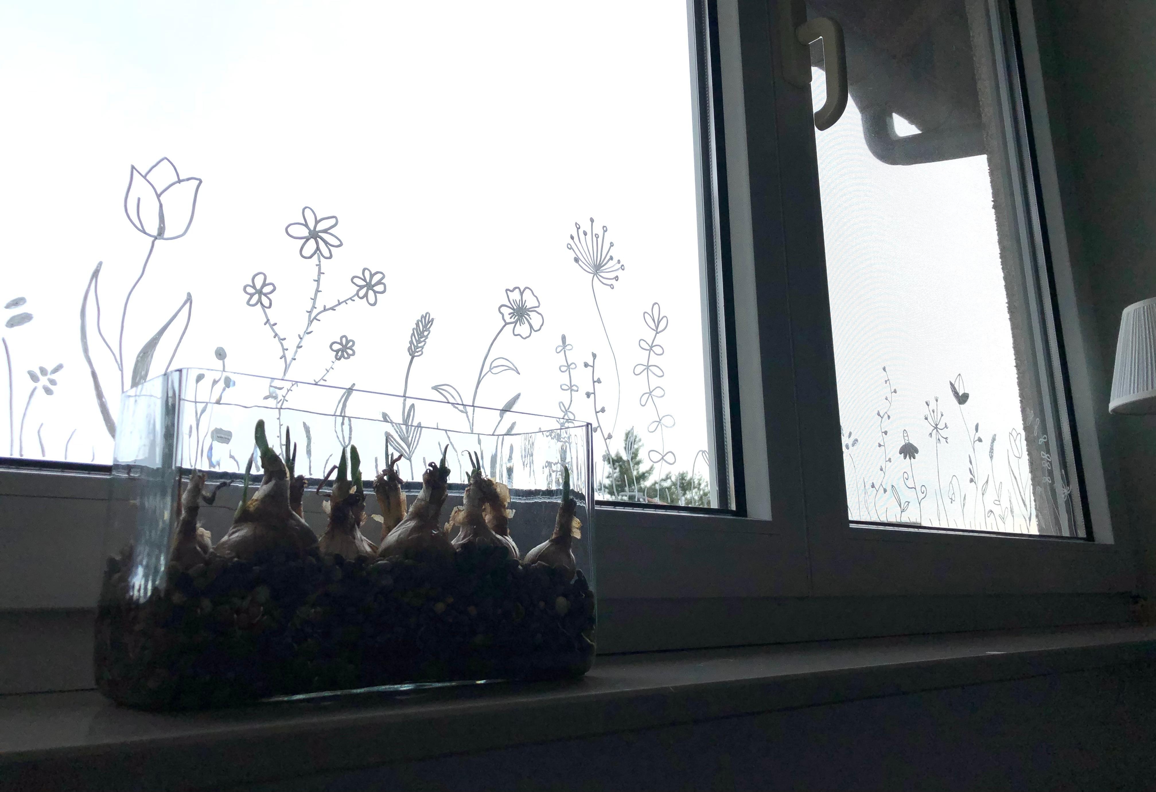 Fenster-Blümchen. #frühling #diy #fensterbild #kreidestift