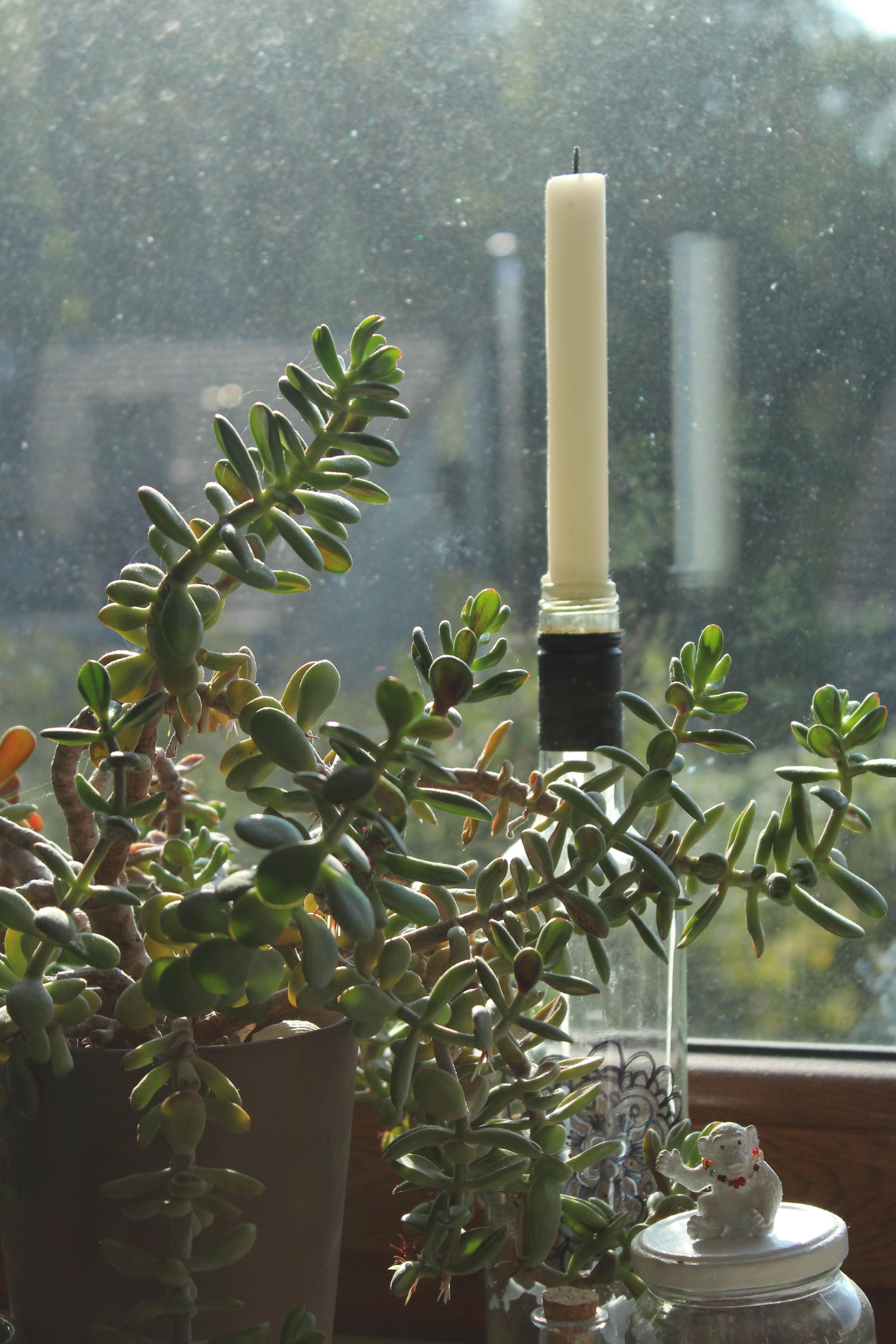 Fenster putzten wird überberwerte
#Fenster #Plants #Kerze 