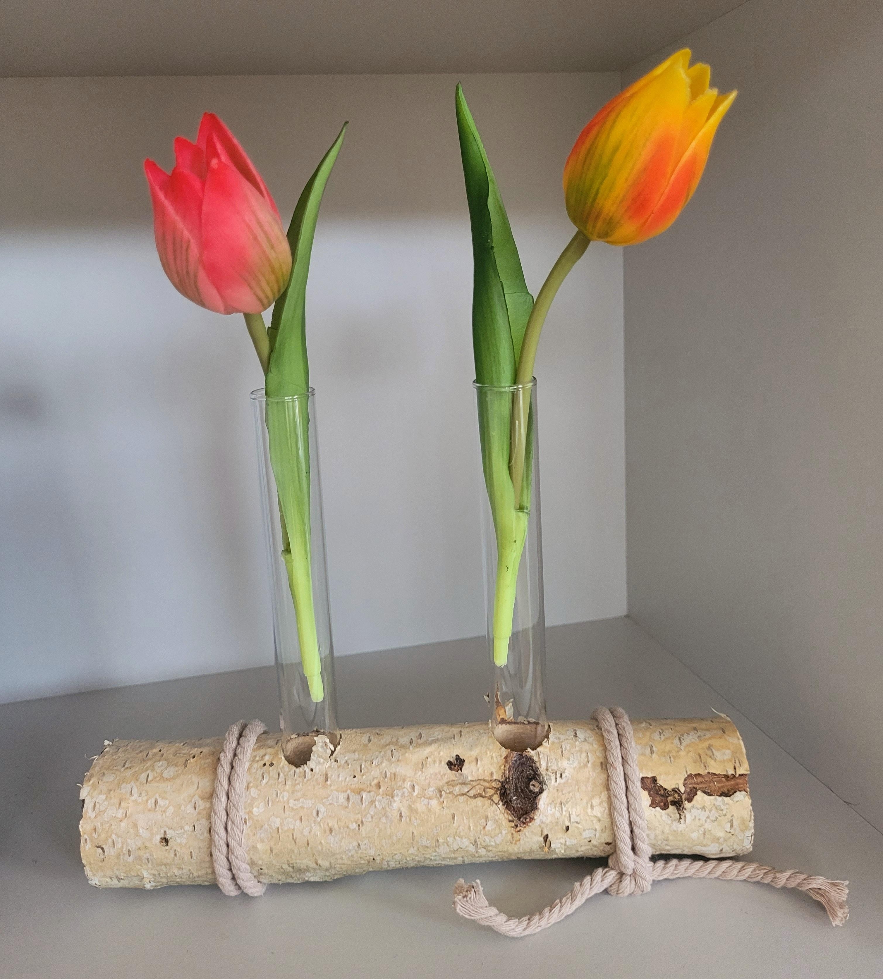 Fertiges DIY- Projekt 😊
#Frühling #Tulpenliebe #Natur
