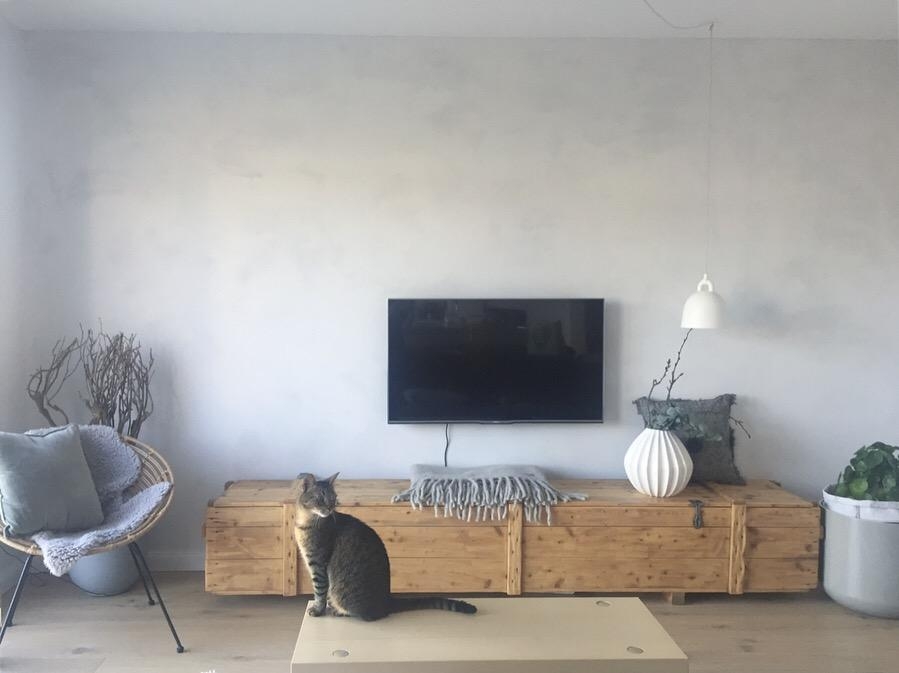 Finally home #wohnzimmer #couchstyle #cats #hygge #cozy #pilea #interior #livingroom #home #interiorinspiration#ikea