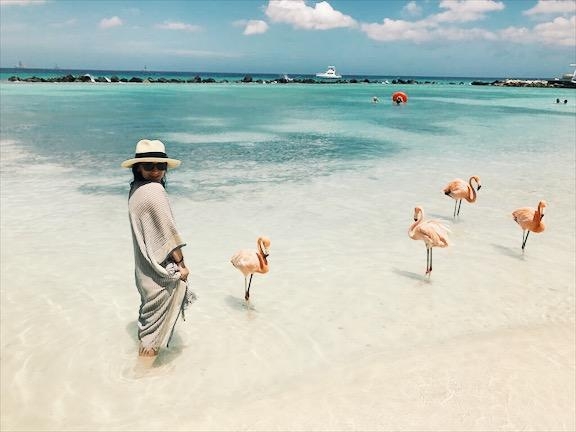 Flamingofreunde 
#Vacation #Aruba #Sommer #flamingos #besttrip #mynewfriends #couchliebt #couchstyle 