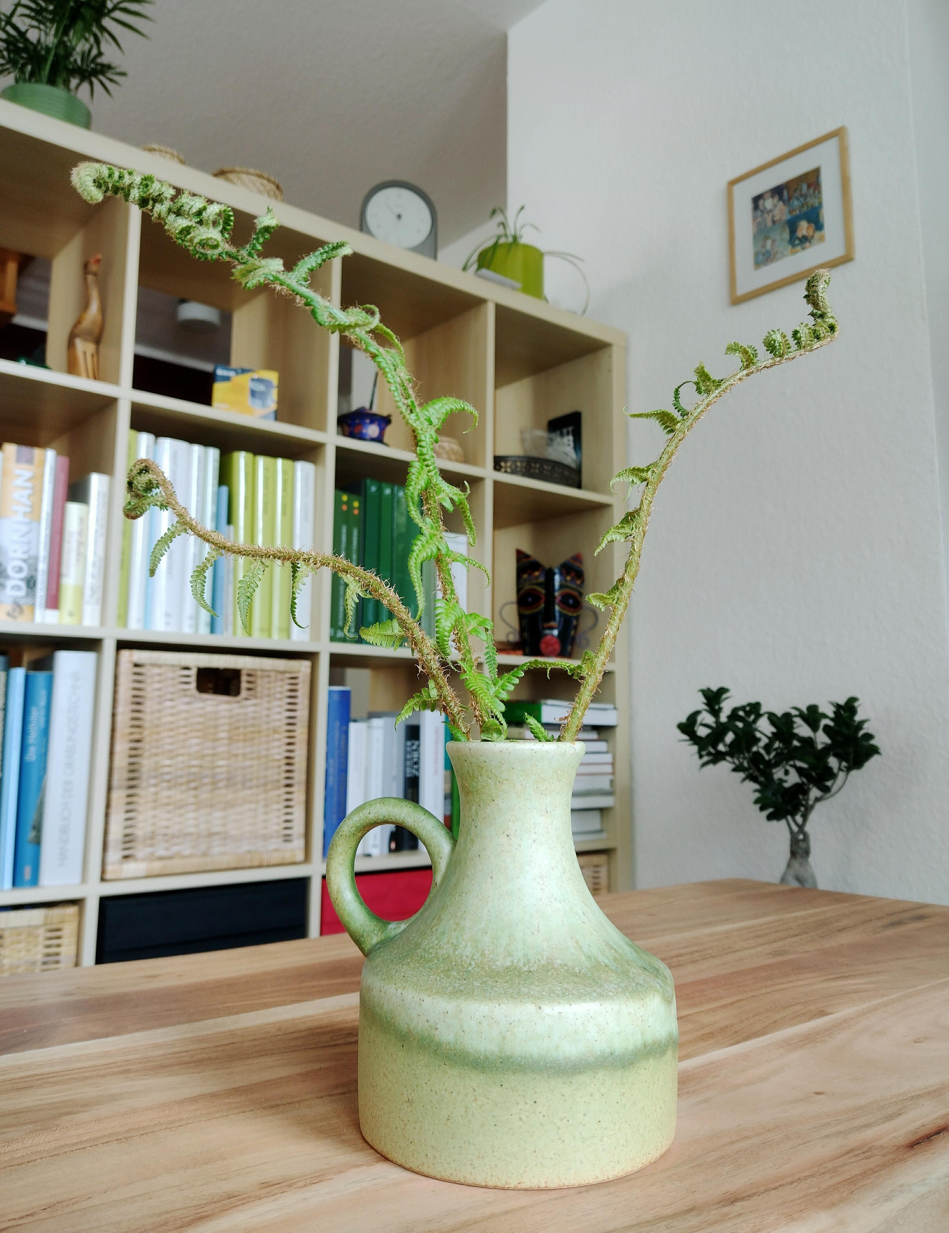 Flohmarktfund 💚😍
#vase #grün #keramikvase #vintage #regal #raumtrenner #wohnzimmer