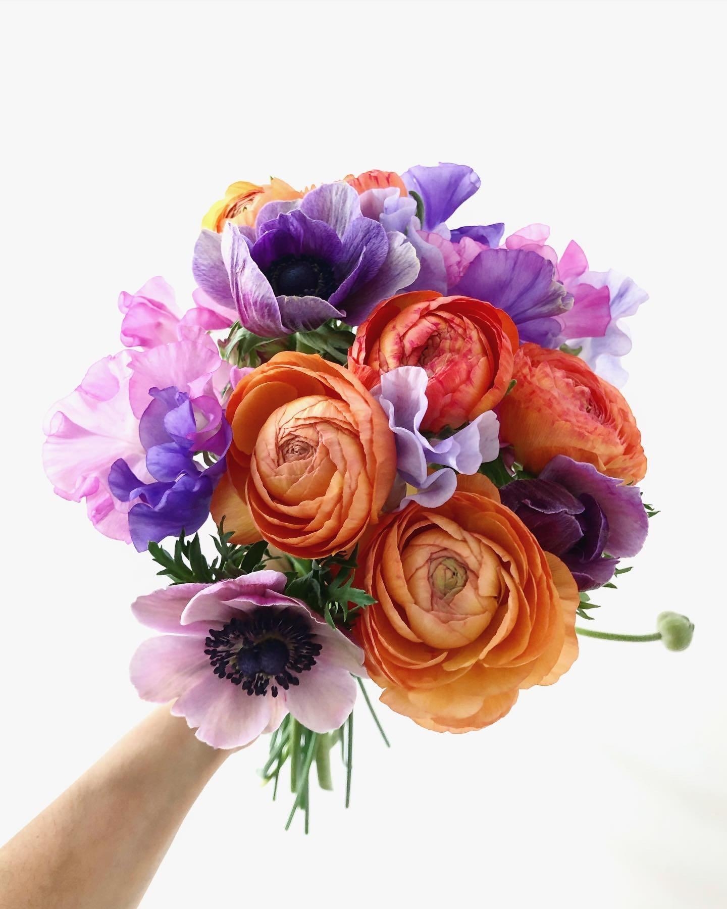 #flowerlove #springtime #colourful @Studiobloom_design
