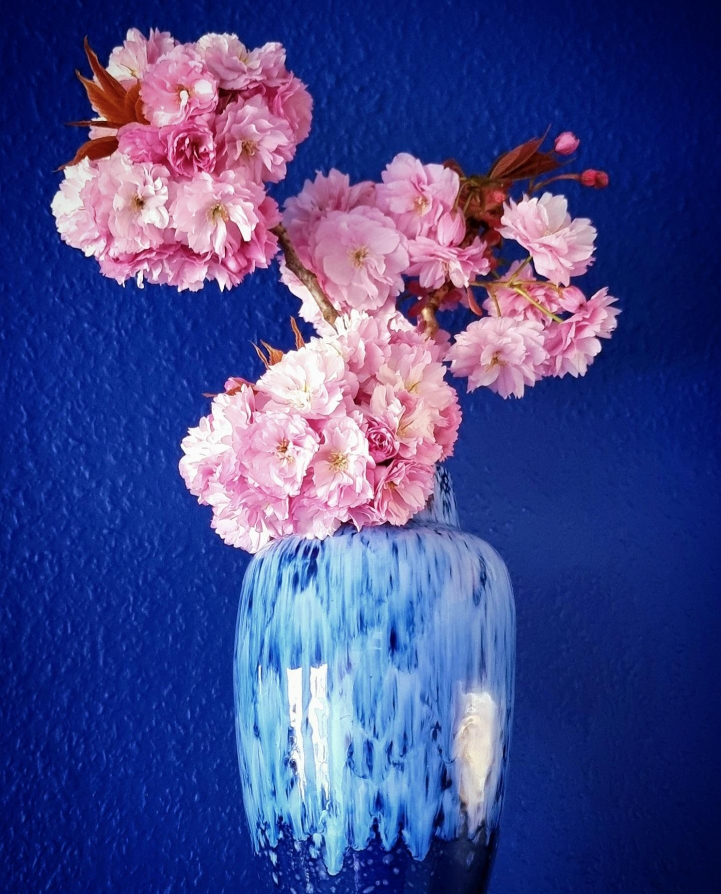 #flowerpower 🌸 in #vintage #secondhand #vase in der #küche #frühlingsblumen #natur #wandfarbe #💙