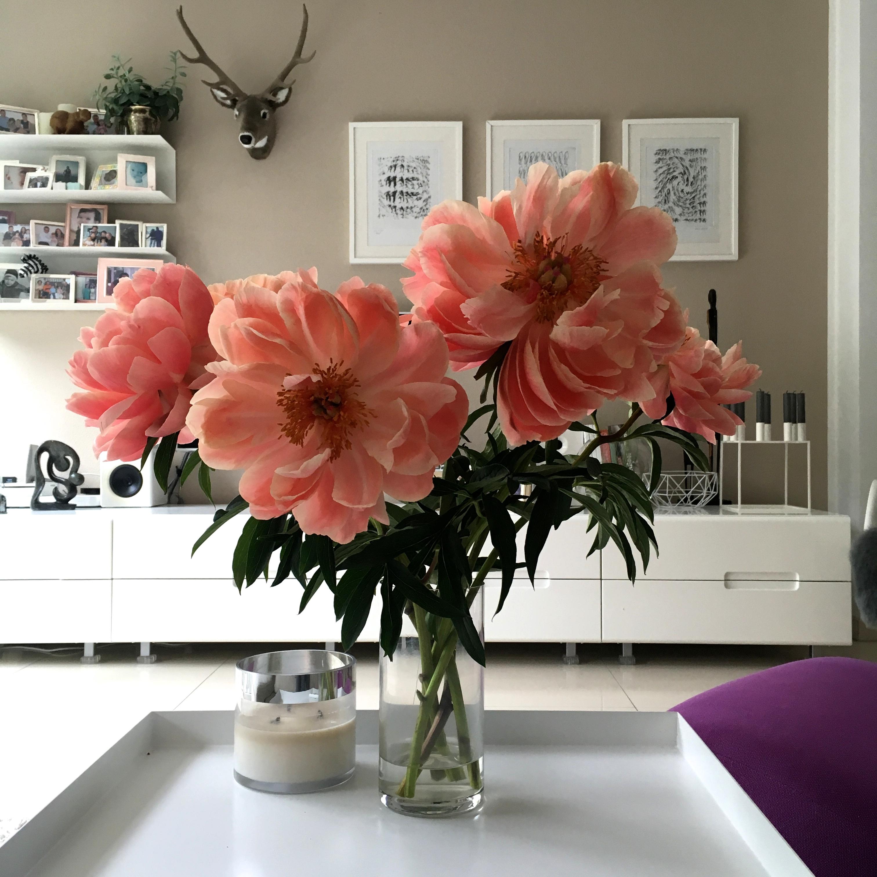 Flowerpower #wandregal #hirschgeweih #ikea #bilder ©ALL ABOUT DESIGN by Christina Harmsen