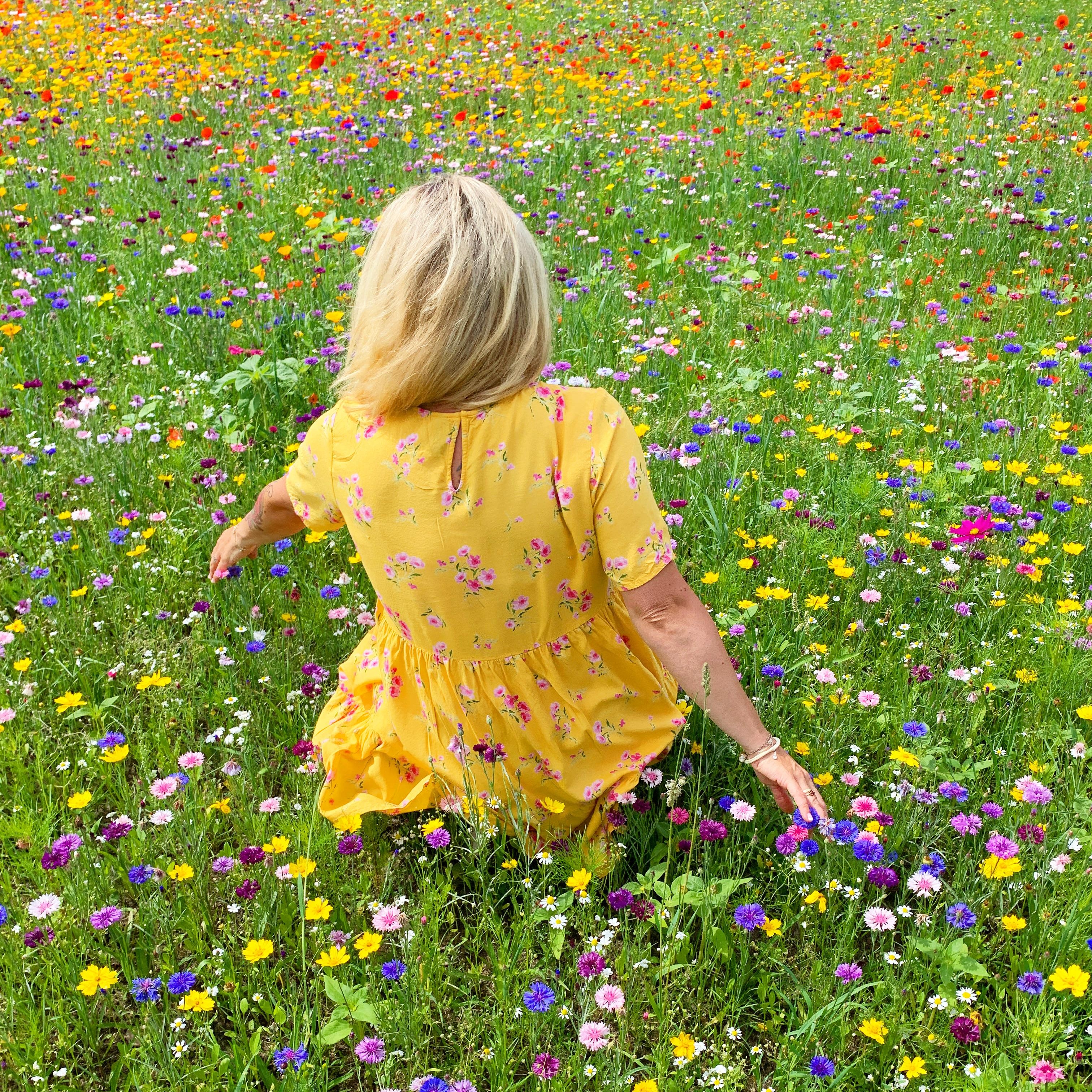 #flowerpower #wiesenblumen #naturliebe #blumenfeld #gelbliebe #katrinwohntcolorful
