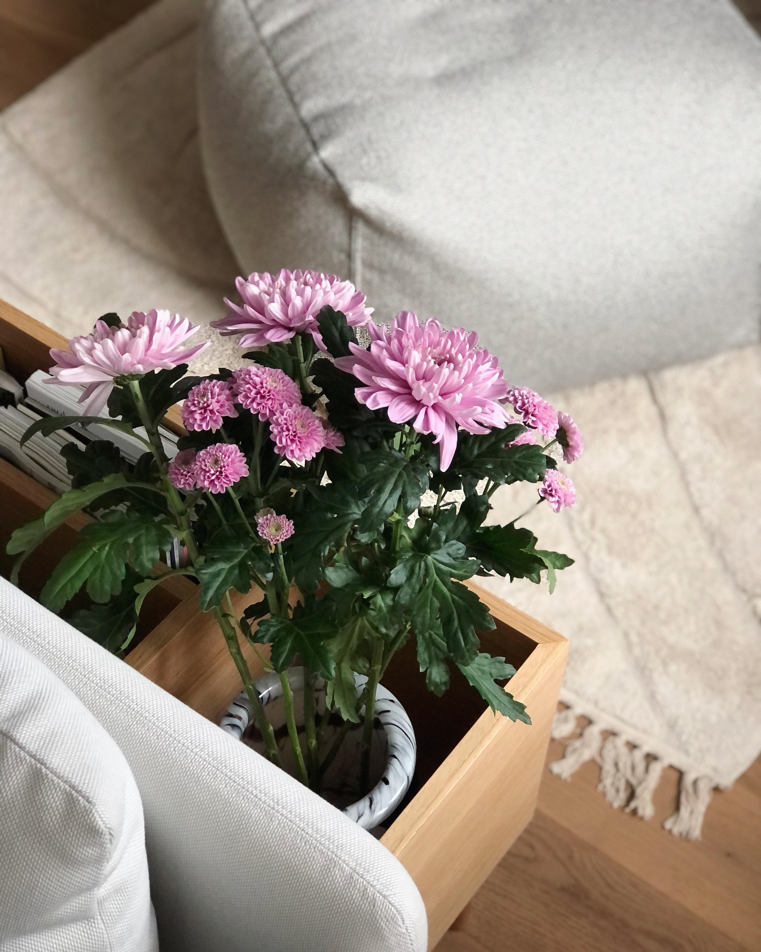 #flowers #blumen #plantbox #wohnzimmer #interior #couchstyle #hygge #cozyhome #Greenliving #Livingchallenge 
