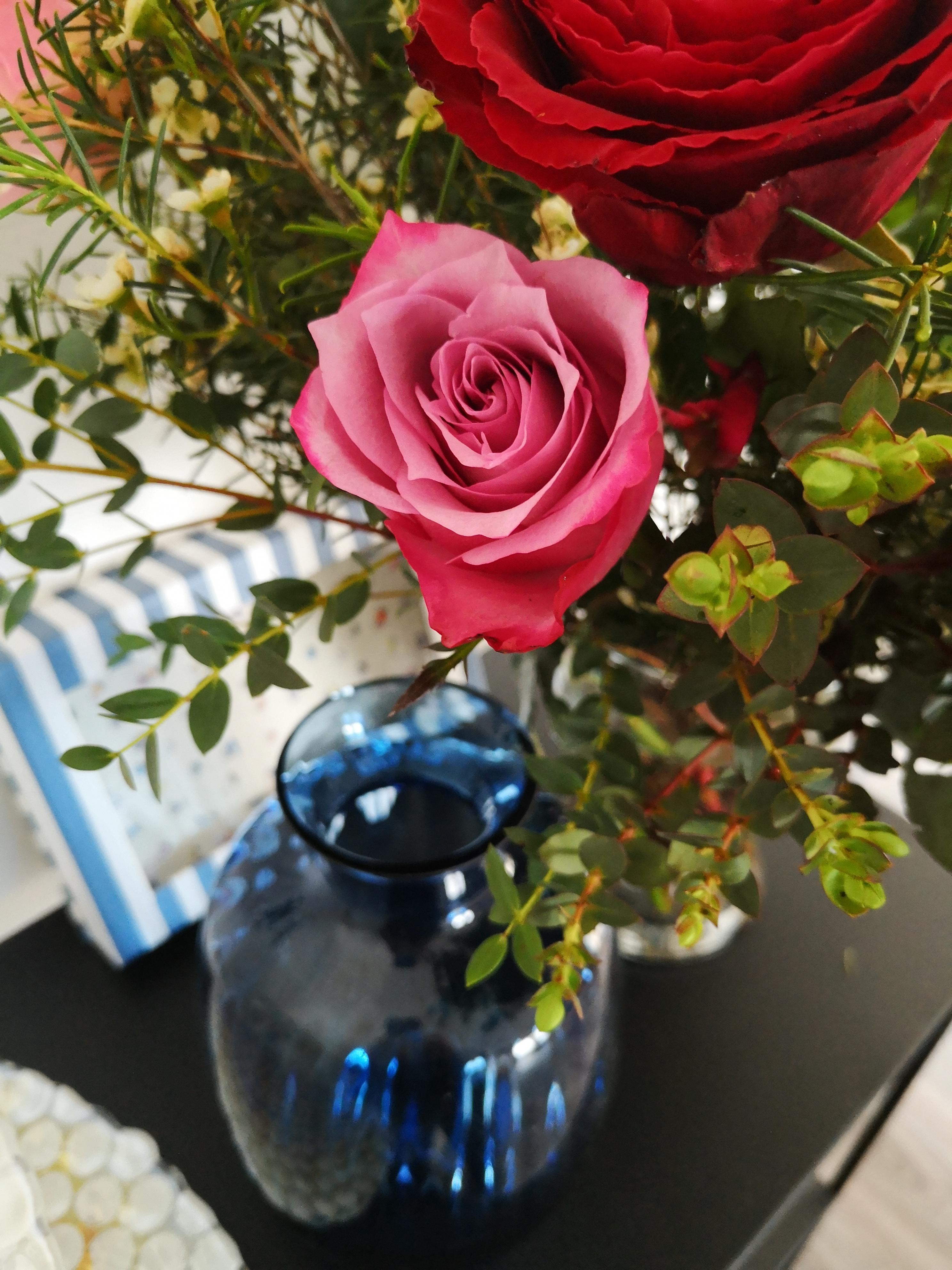 Flowers everywhere 🌹🌸🌺
#strauss #buket #vase #eukalyptus #wachsblumen #rosen #dekoration