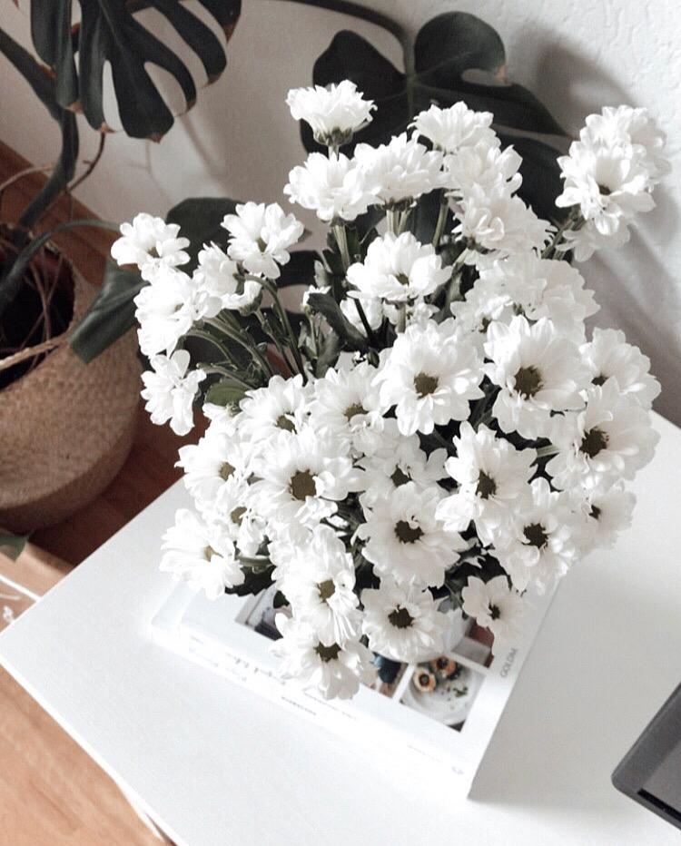#flowers #whitesantini #home #homegoods #friday #blumenliebe