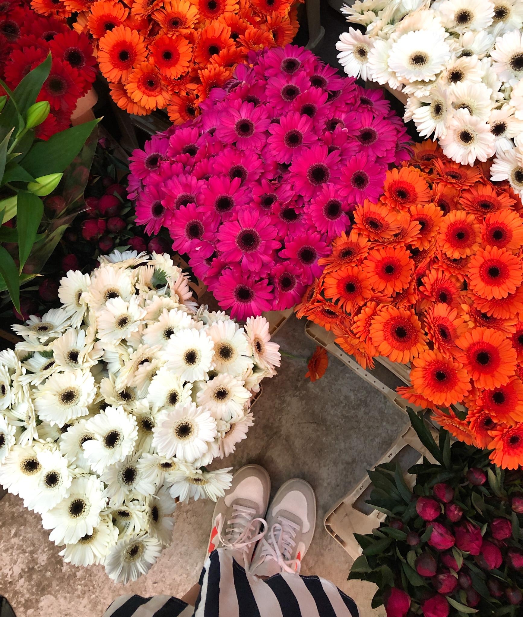 Flowershopping <3 #freshflowers #sommer #blumenliebe #sneaker 