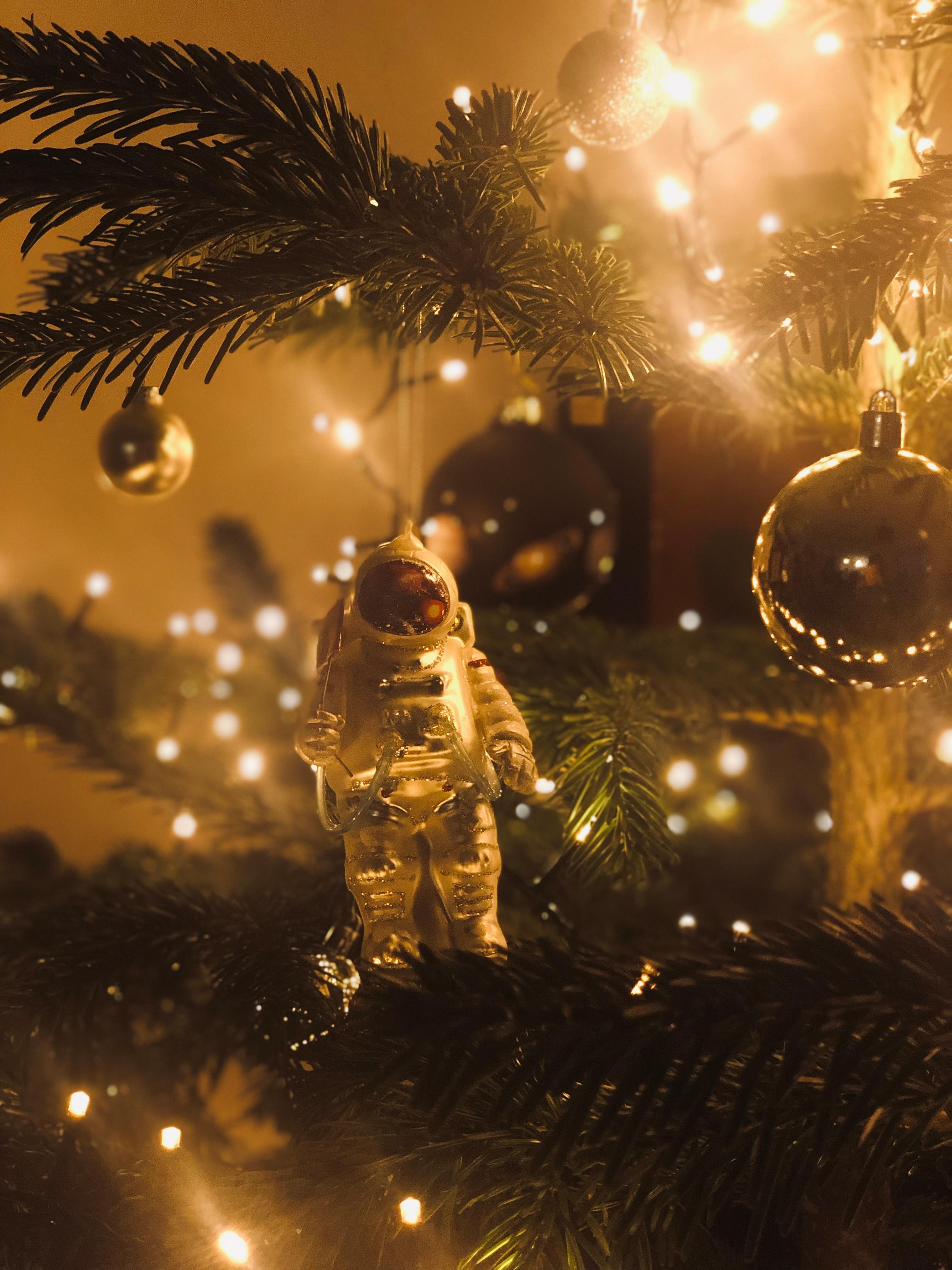 Fly me to the moon 🌝

#weihnachtsbaum #astronaut #kugelwargestern #weihnachten