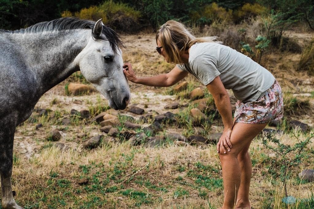 #freehorses #enjonaturefarm #freeliving #nature #horslover #pferdeflüsterer #southafrica #westerncape 