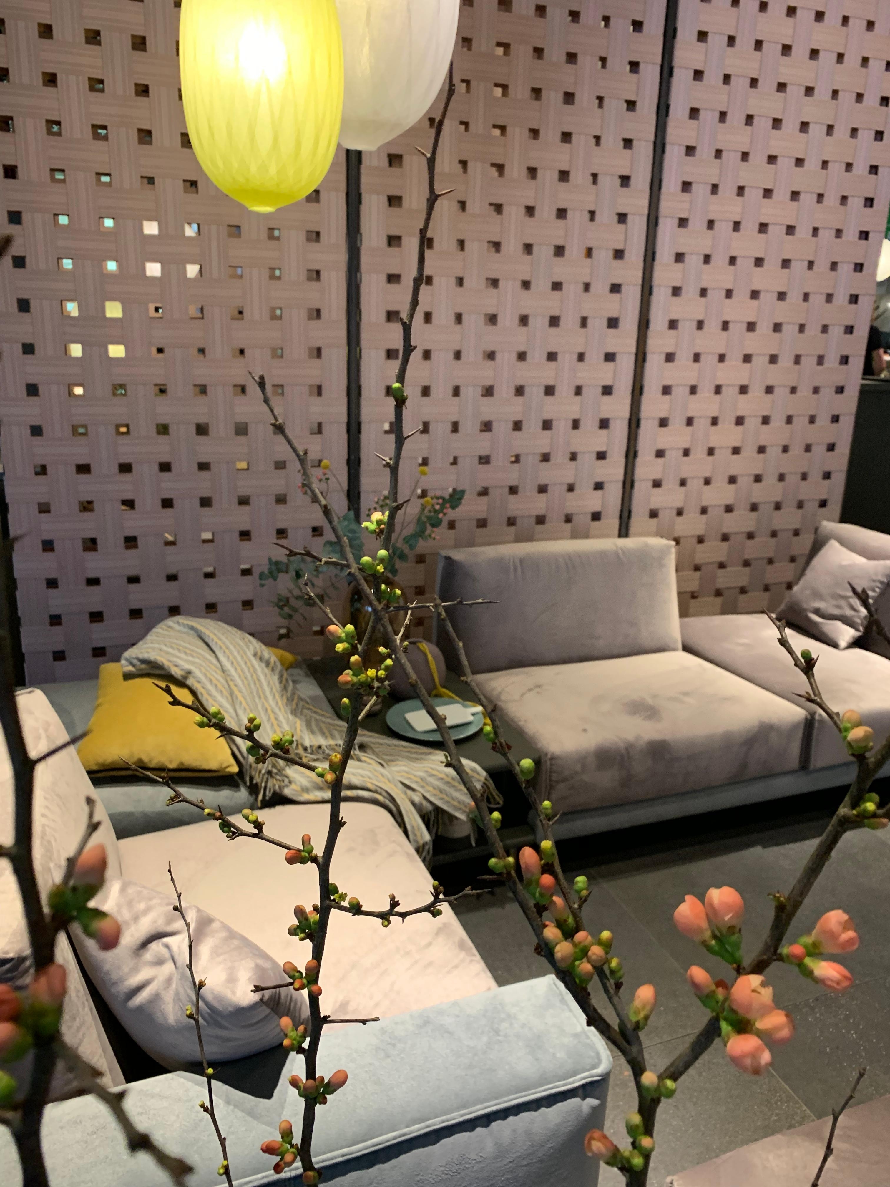 #freistil von #rolfbenz zeigte uns auf der #imm2019 ein geniales #sofa in #pastelltönen aus #rosa und #petrol - #imm