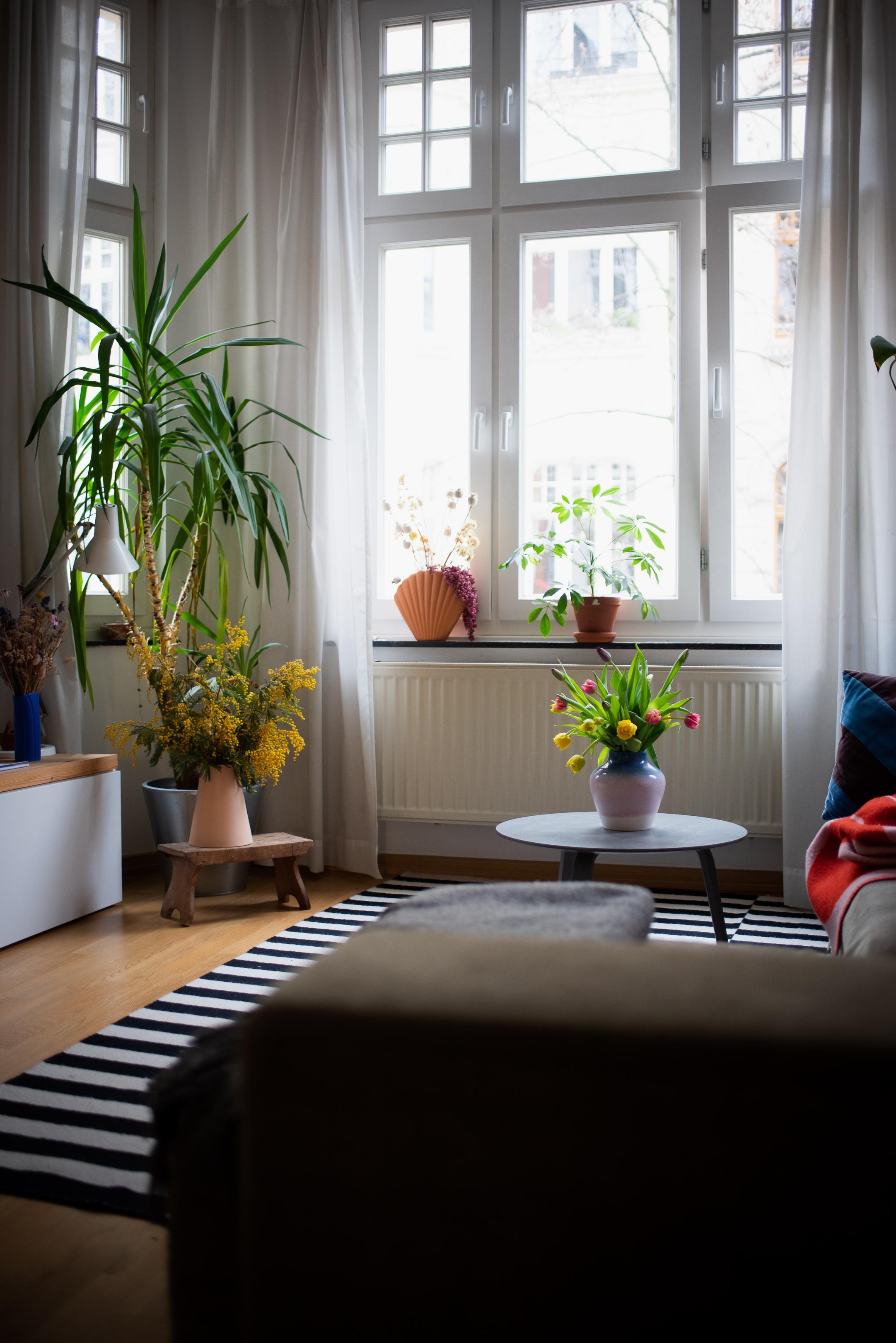 Freitagsblumen 🌷 #freshflowerfriday #wohnzimmer #interiorinspo #livingroom #tulpen