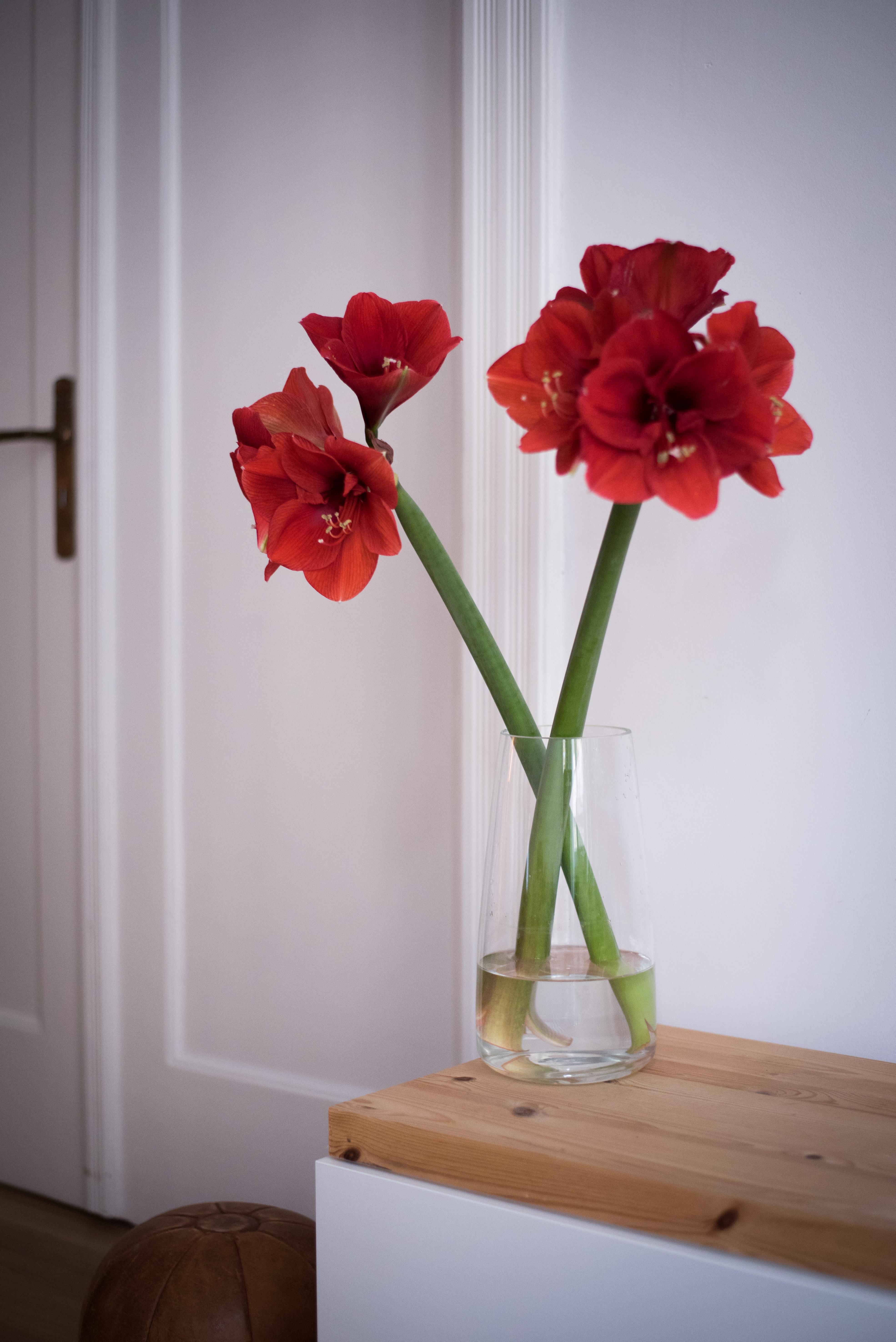 Freitagsblumen! Habt ein schönes, erstes Adventwochenende! #freshflowers #interior #decoration