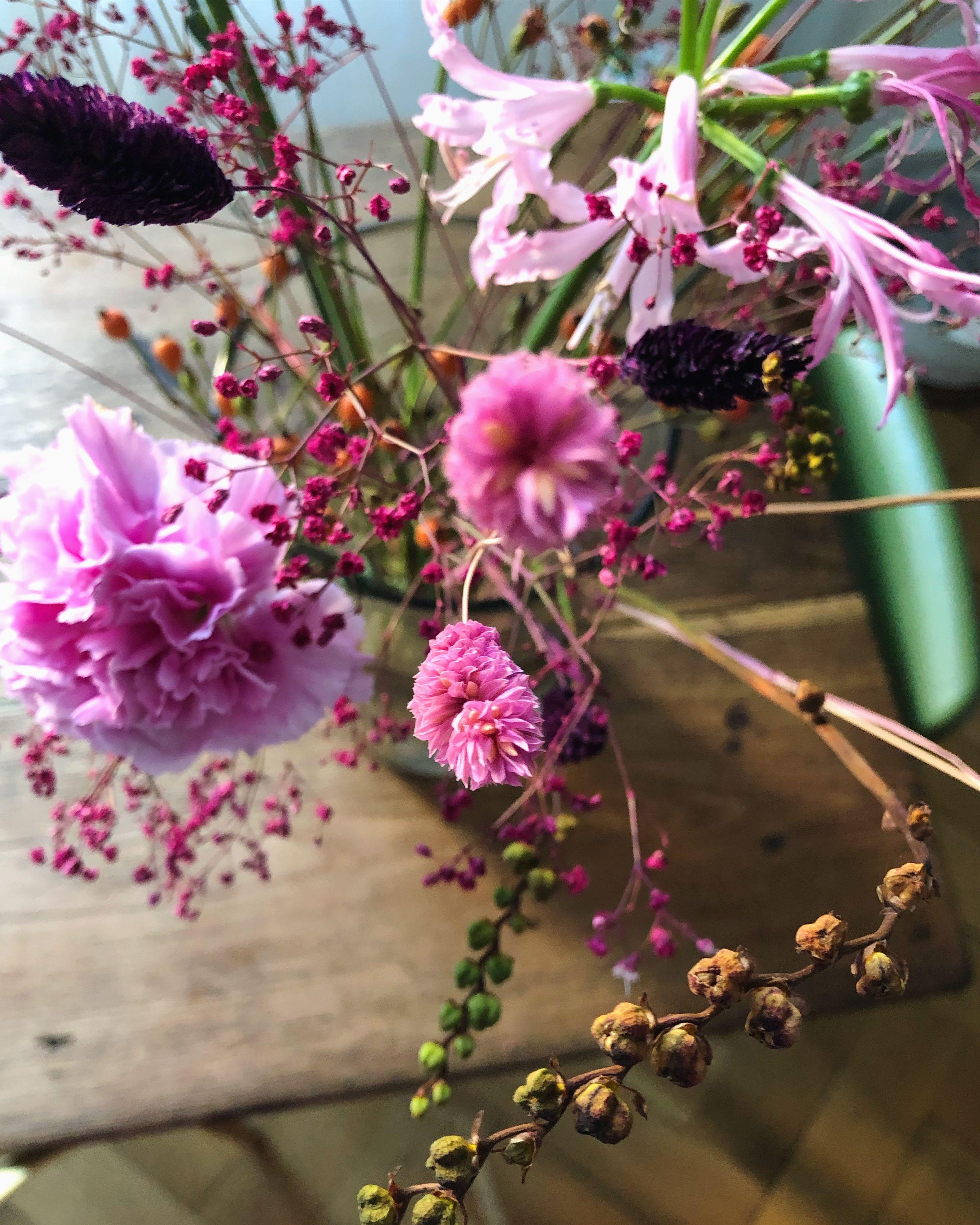 #freshanddried #flowers #pink #flowerlove @Studiobloom_design