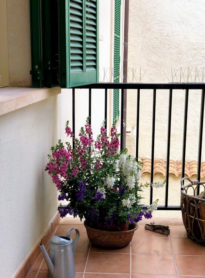 #freshflowerfriday #balkon #balkonien #sommerblumen #blumenliebe
