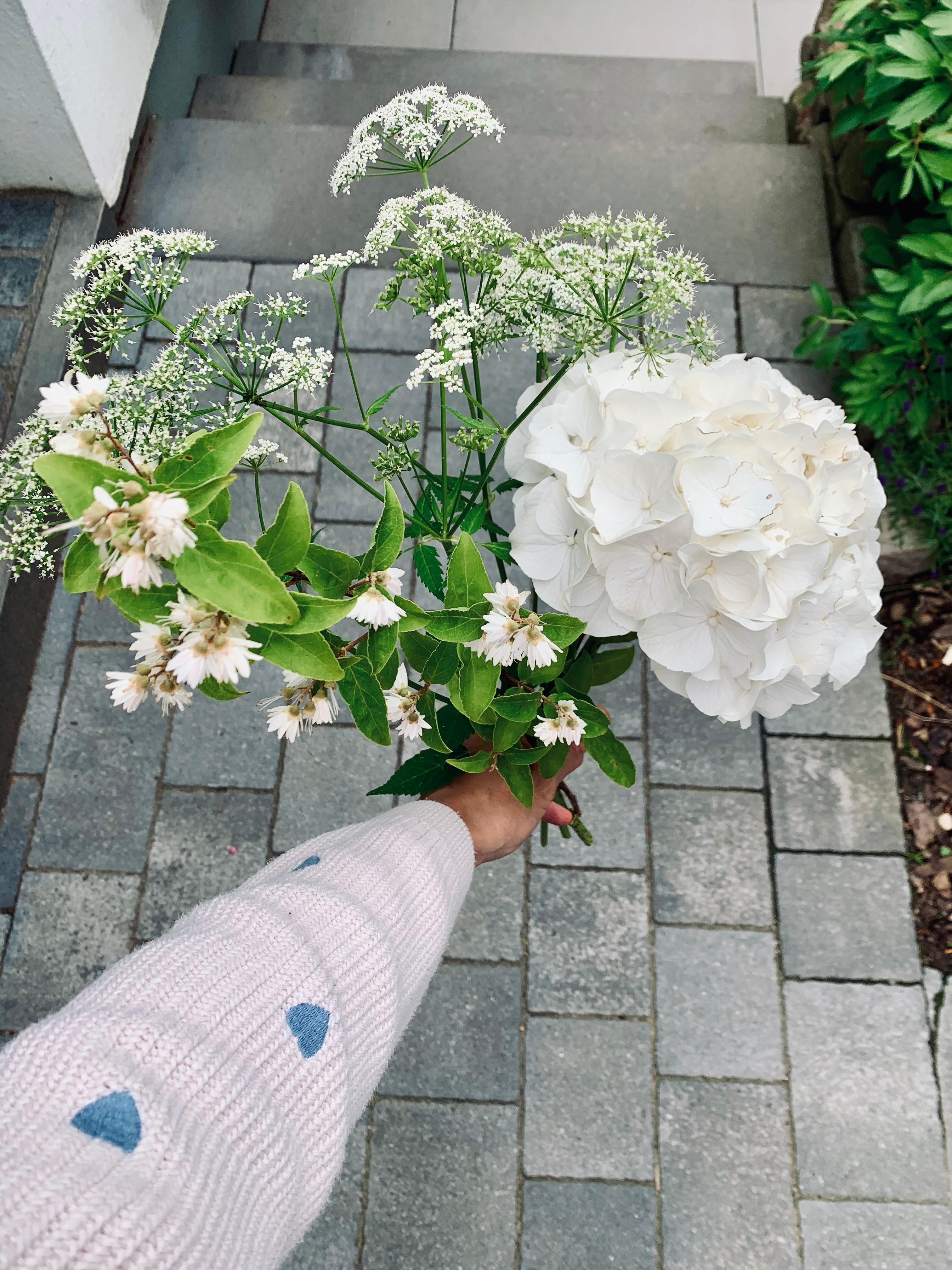 #freshflowerfriday #Hortensie 
#Wochenende #Landhausgarten 