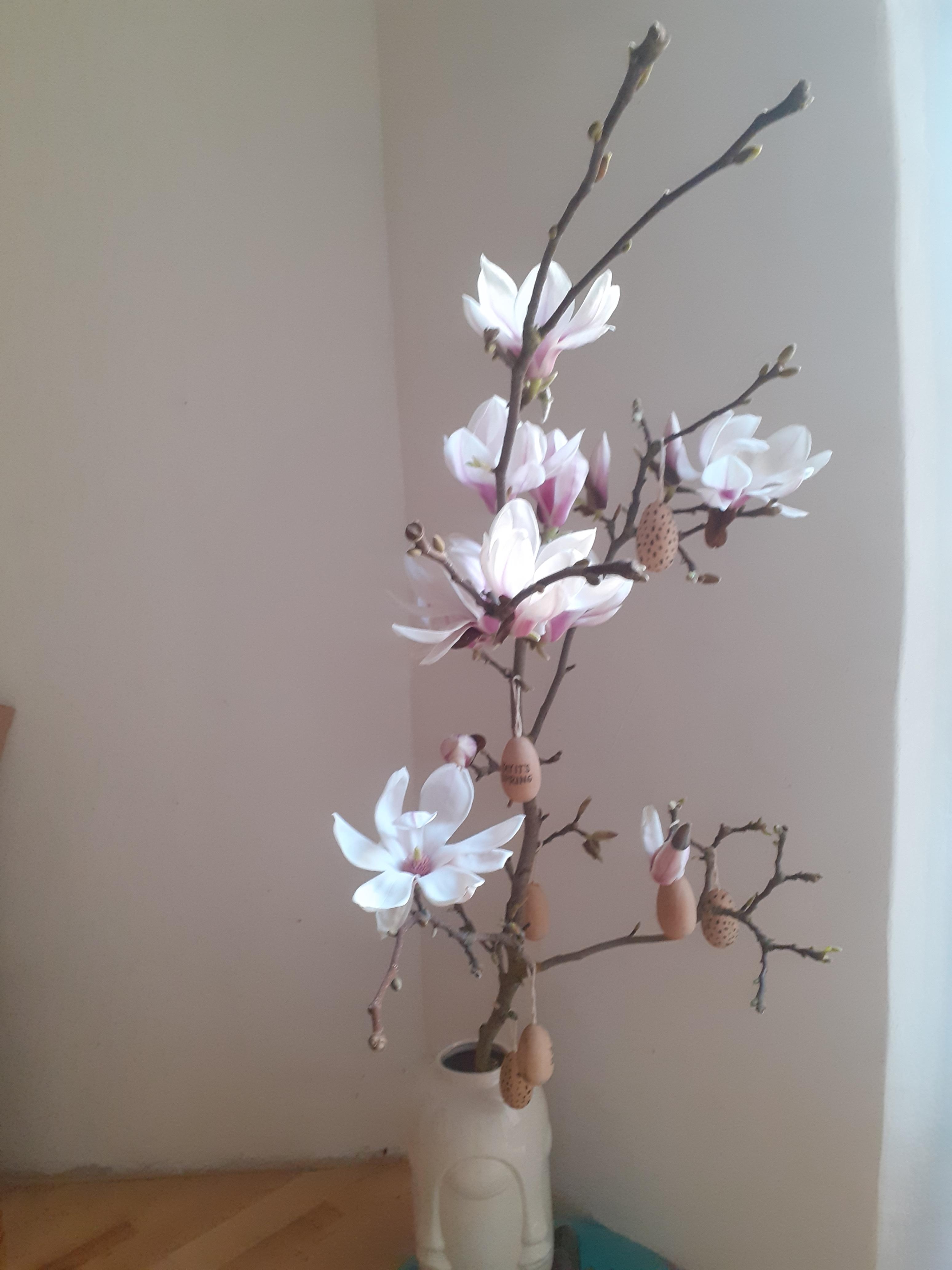 #freshflowerfriday
#magnolia, duftet herrlich 
#livingchallenge