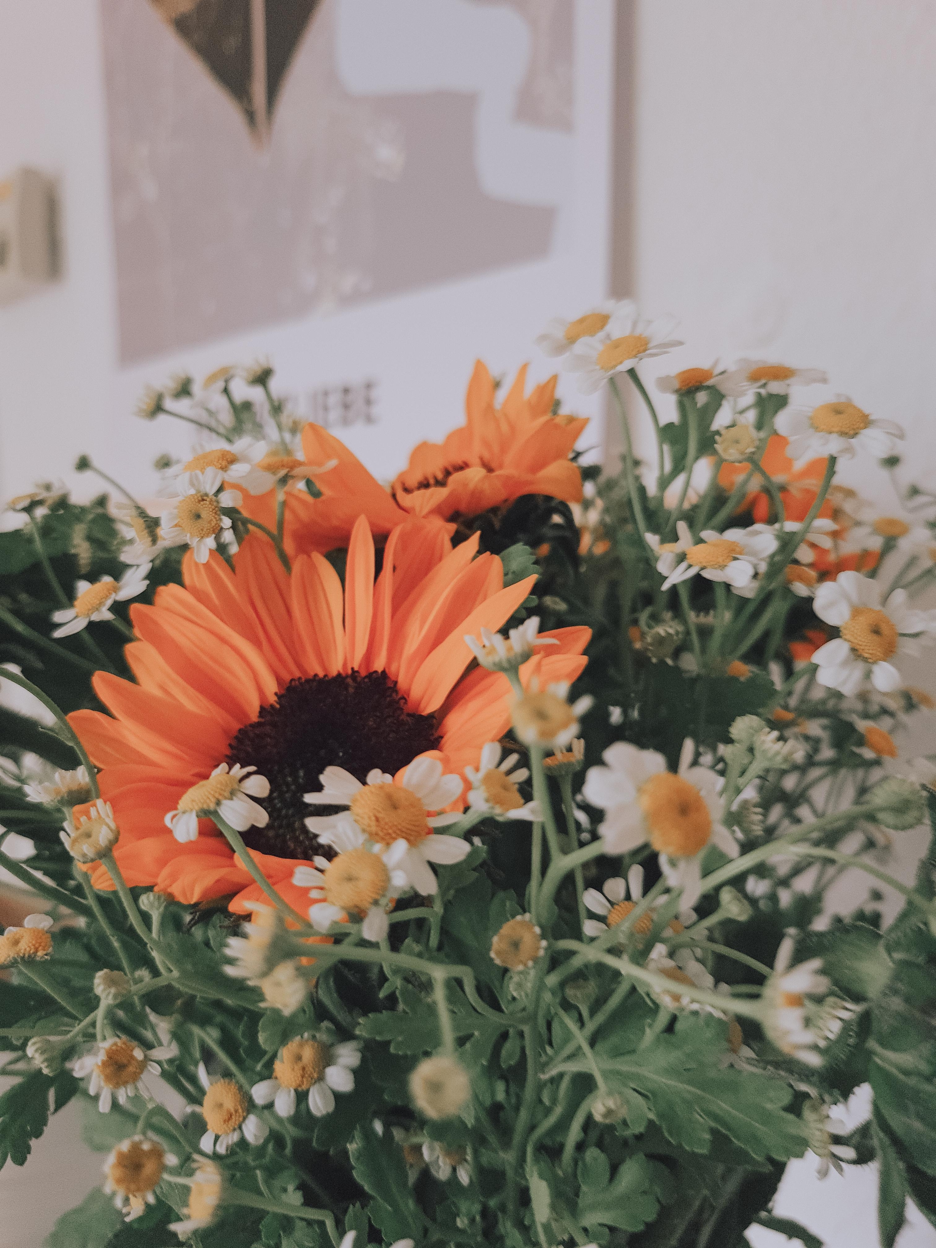 #freshflowerfriday #Sonnenblumen #Kamille #Blumenstrauß #blumenliebe