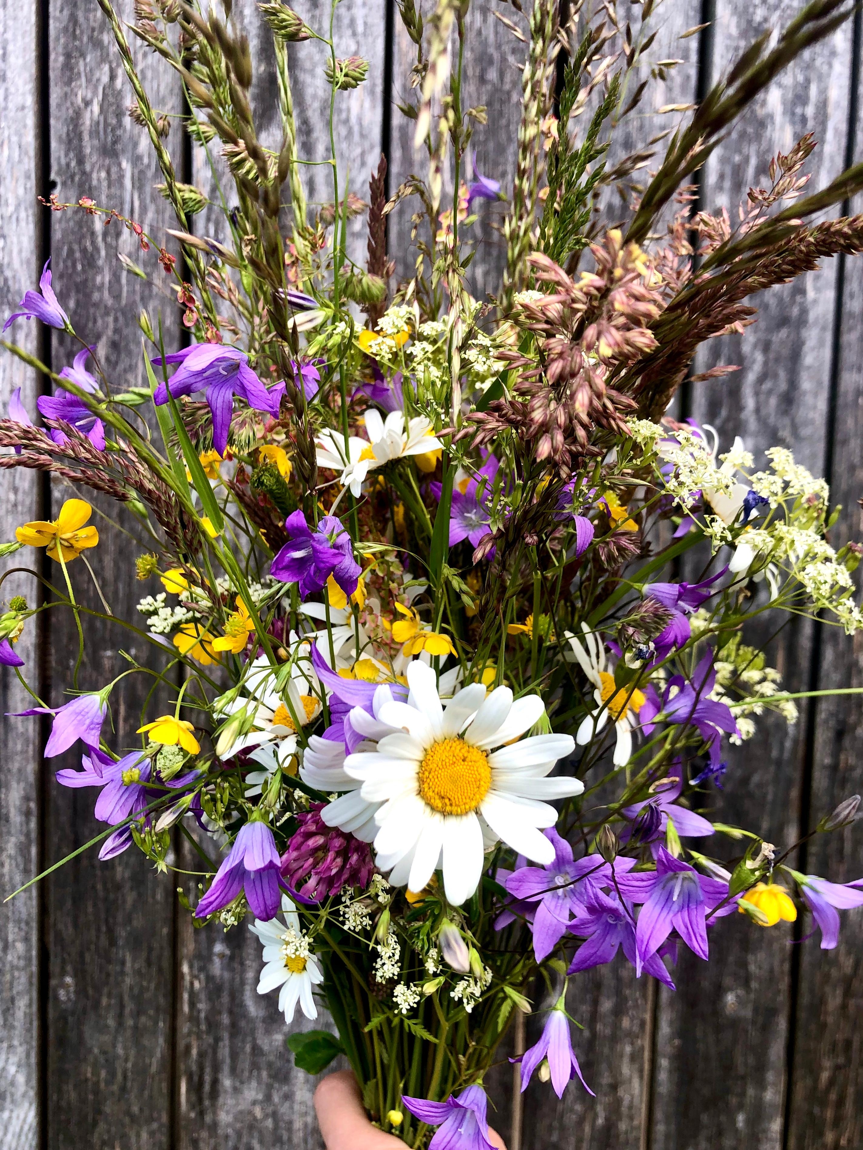 #freshflowerfriday
Startet gut ins Wochenende & ganz herzliche Grüße!