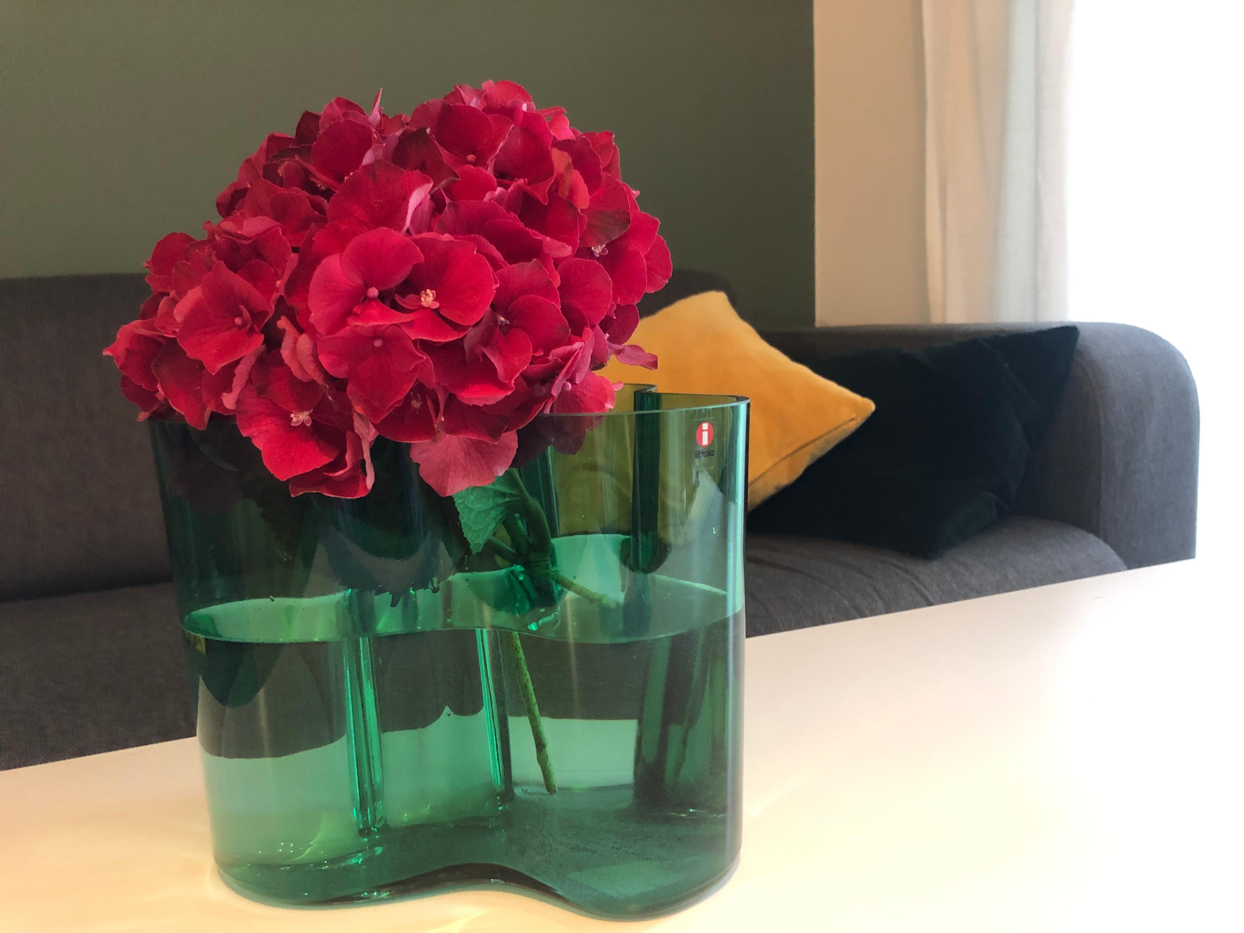 #freshflowerfriday und ein Farbtupfer im Wohnzimmer #vase