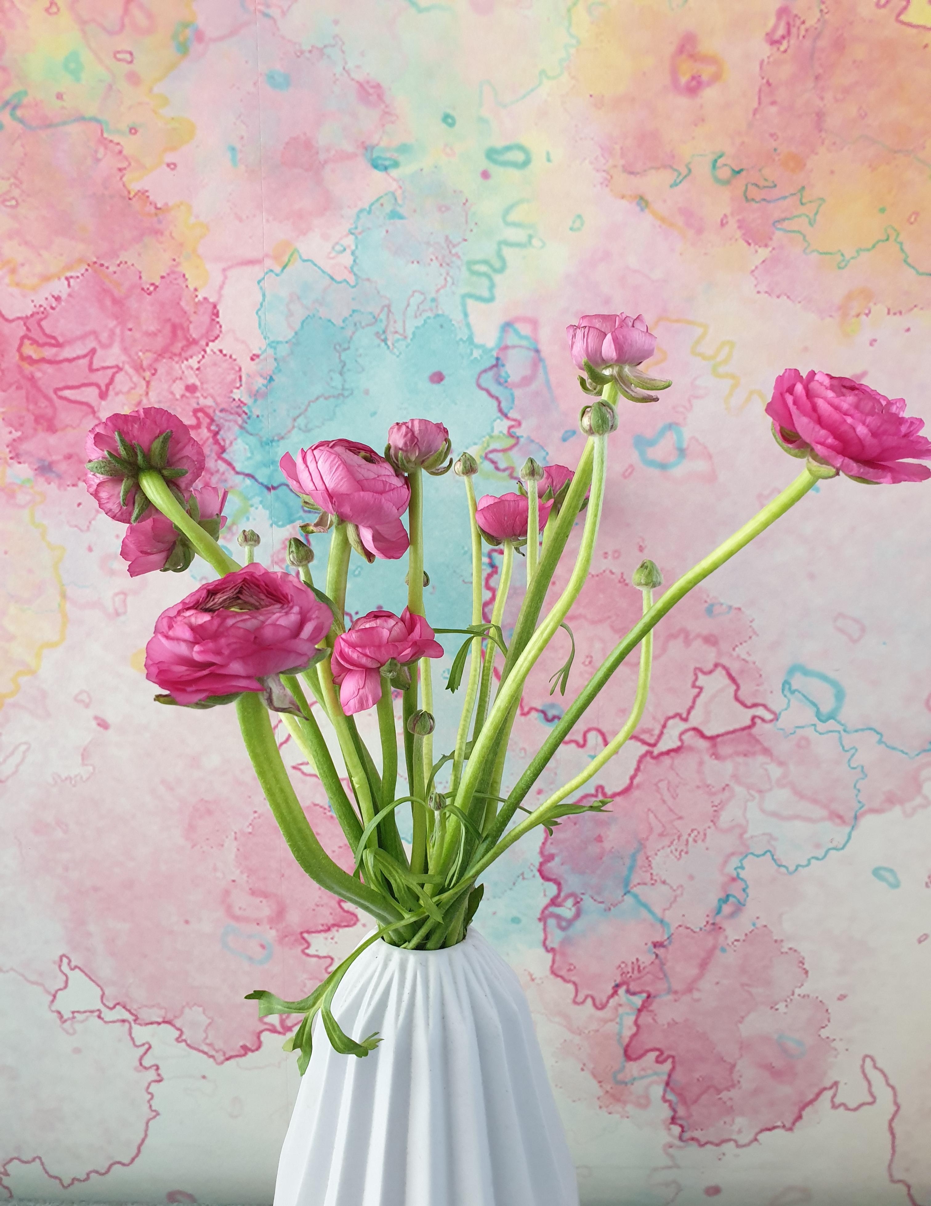 #Freshflowerfriday#blumenliebe#frühling#pink#gutelaune