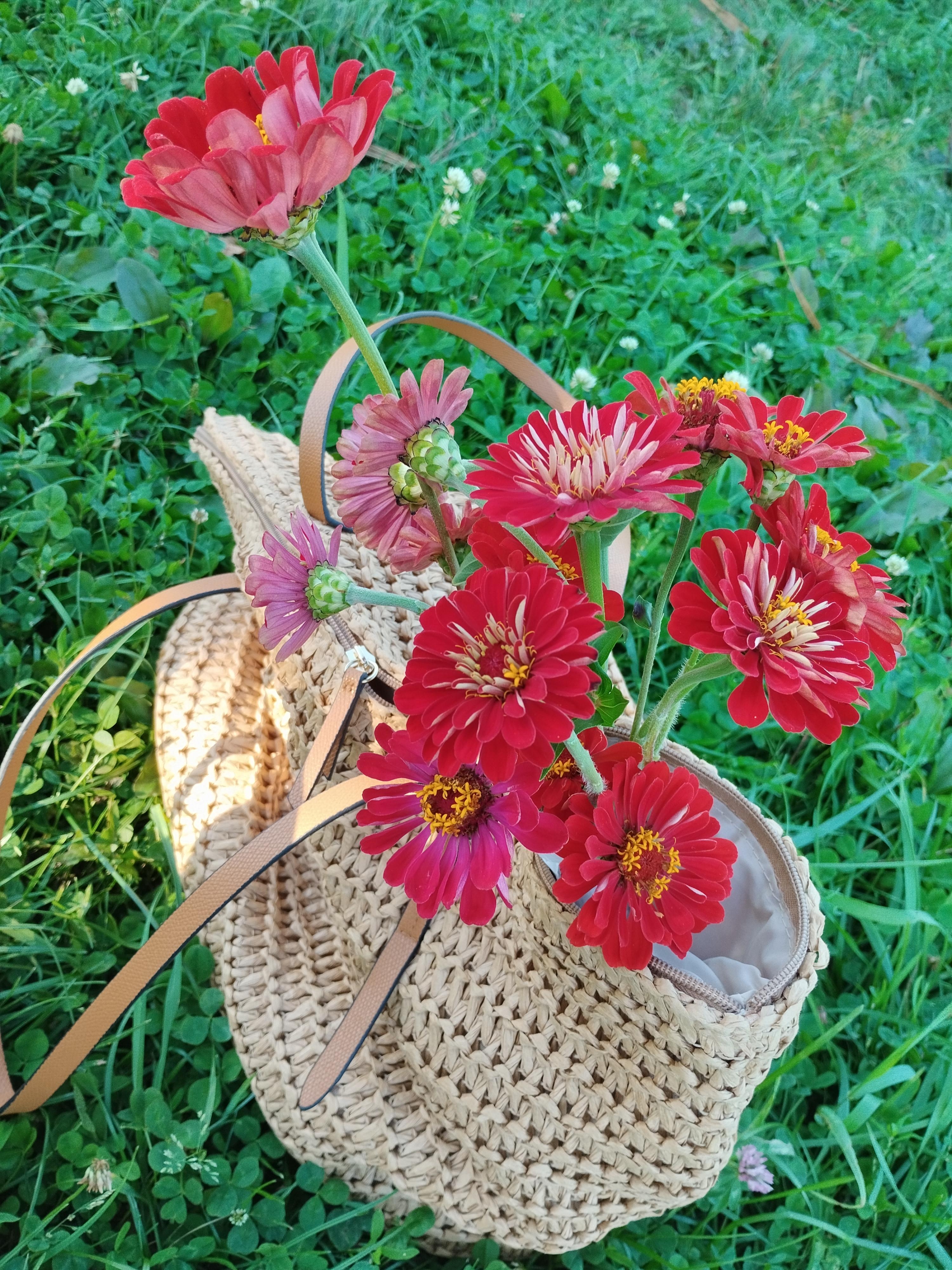 #freshflowers vom Selbst-Pflück-Feld 

#flowers #red #colourful 