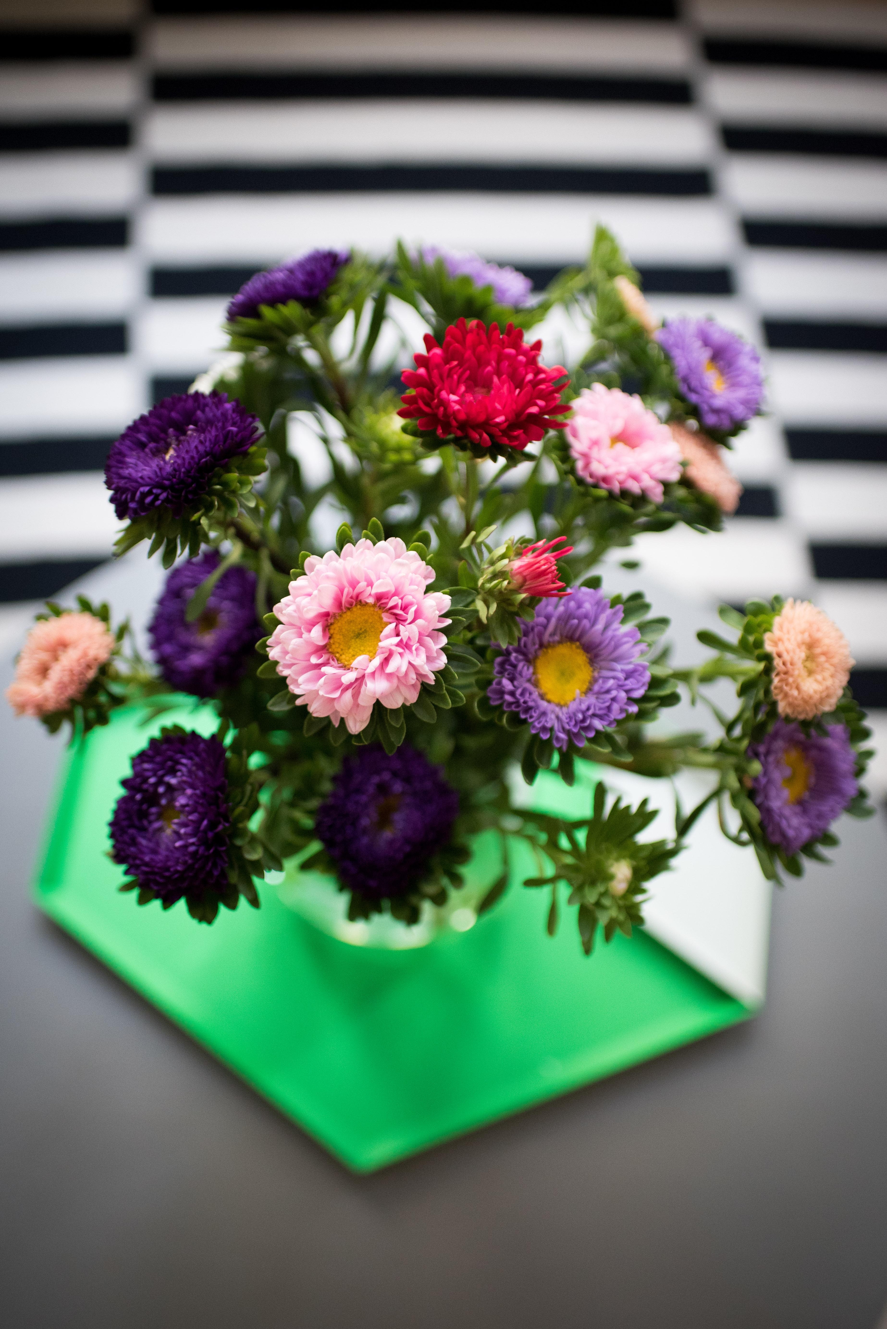Fridayflowers - Habt ein schönes Wochenende!
#freshflowers #flowerfriday #colorsplash