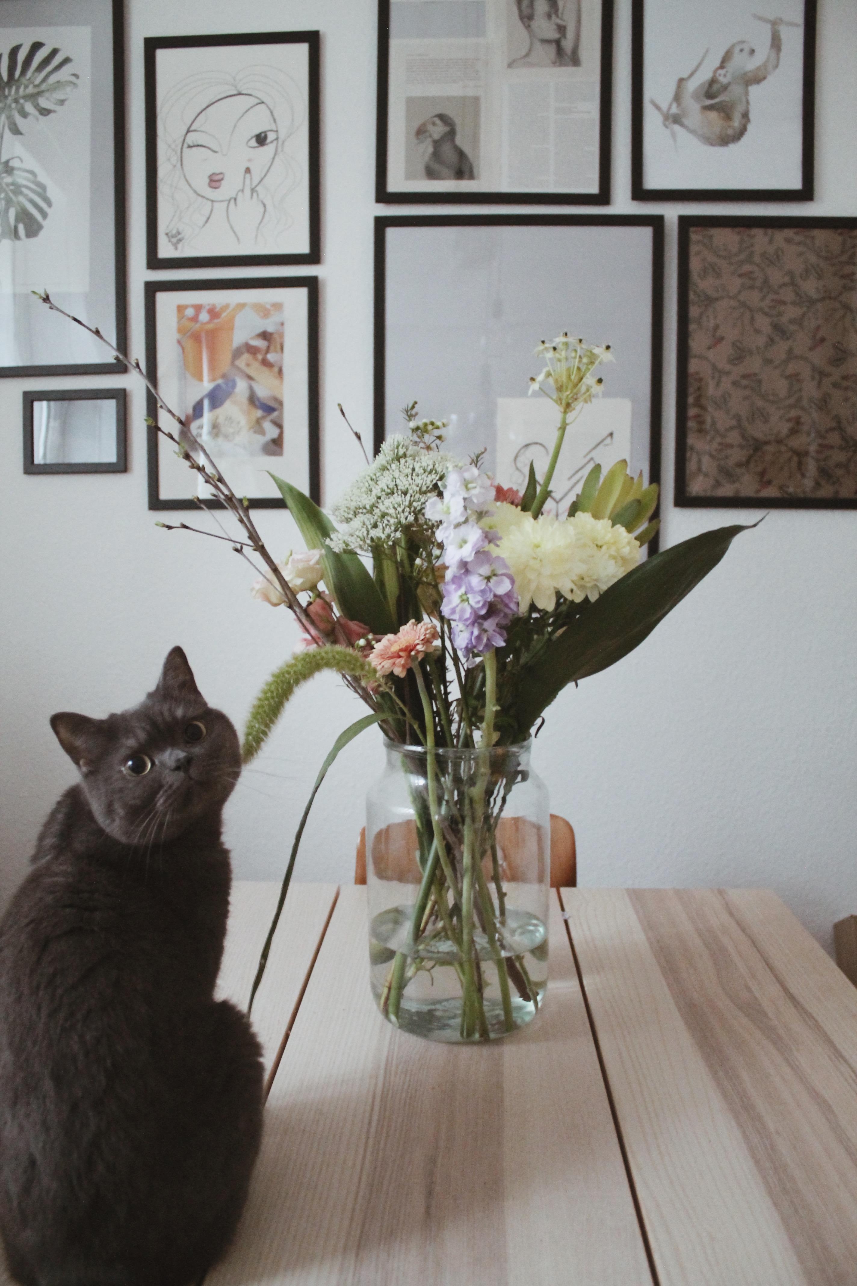 Frische Blumen für die Katz 🐱 #freshflowerfriday #livingchallenge #gallerywall 