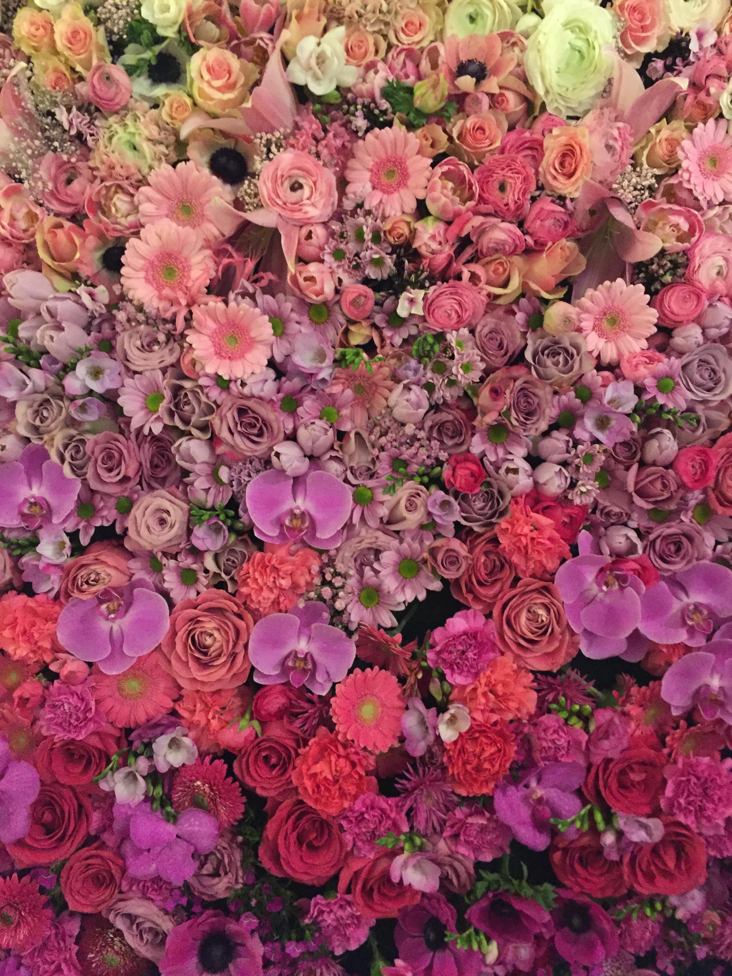 Frische Blumen für einen guten Wochenstart 👋🏽 #frischeblumen #flowerwall #blumenmeer #freshflowers #farbenmix