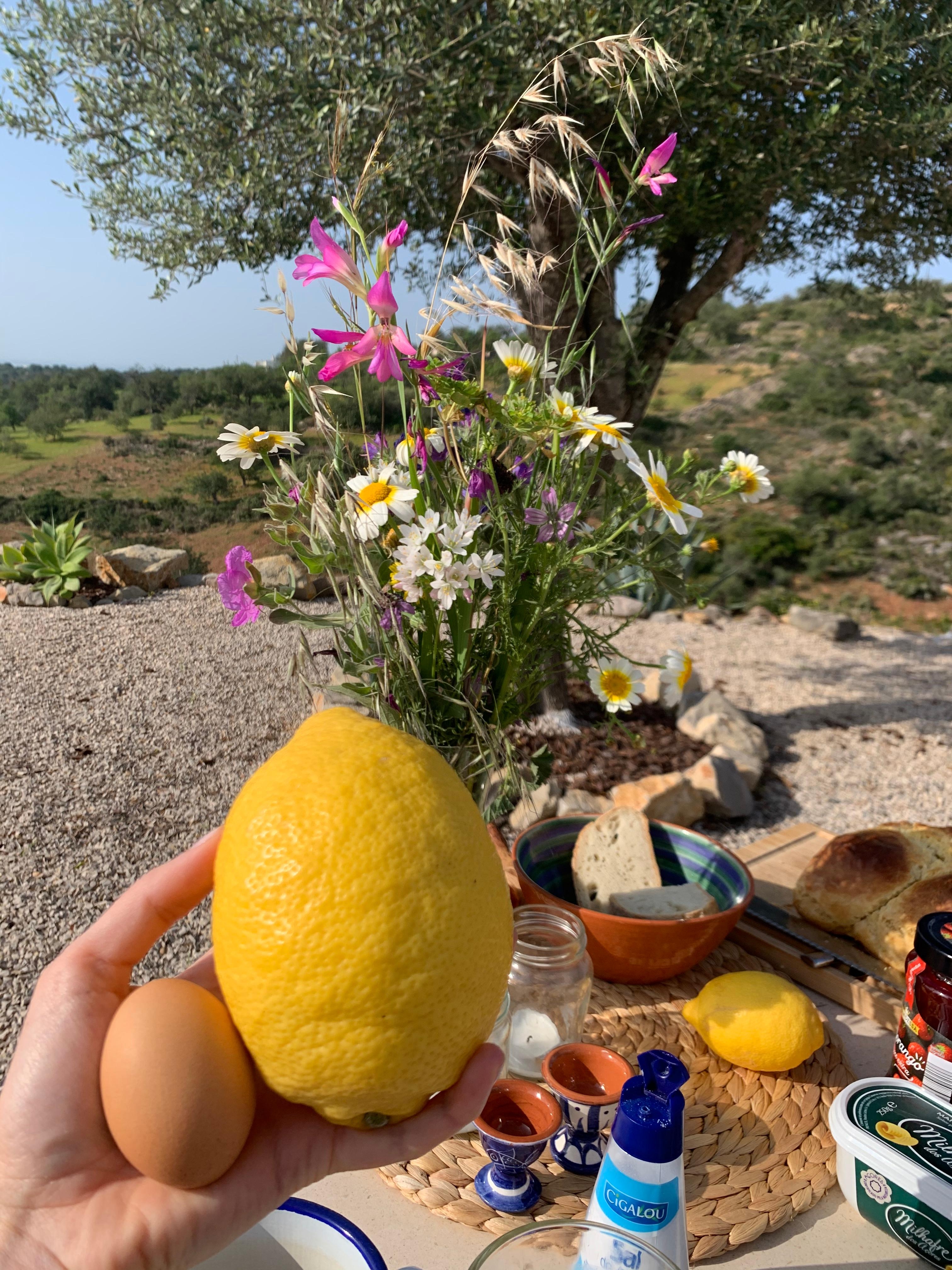 Frohe Ostern 🐣🥚🍋 #easter #flowers #lemons