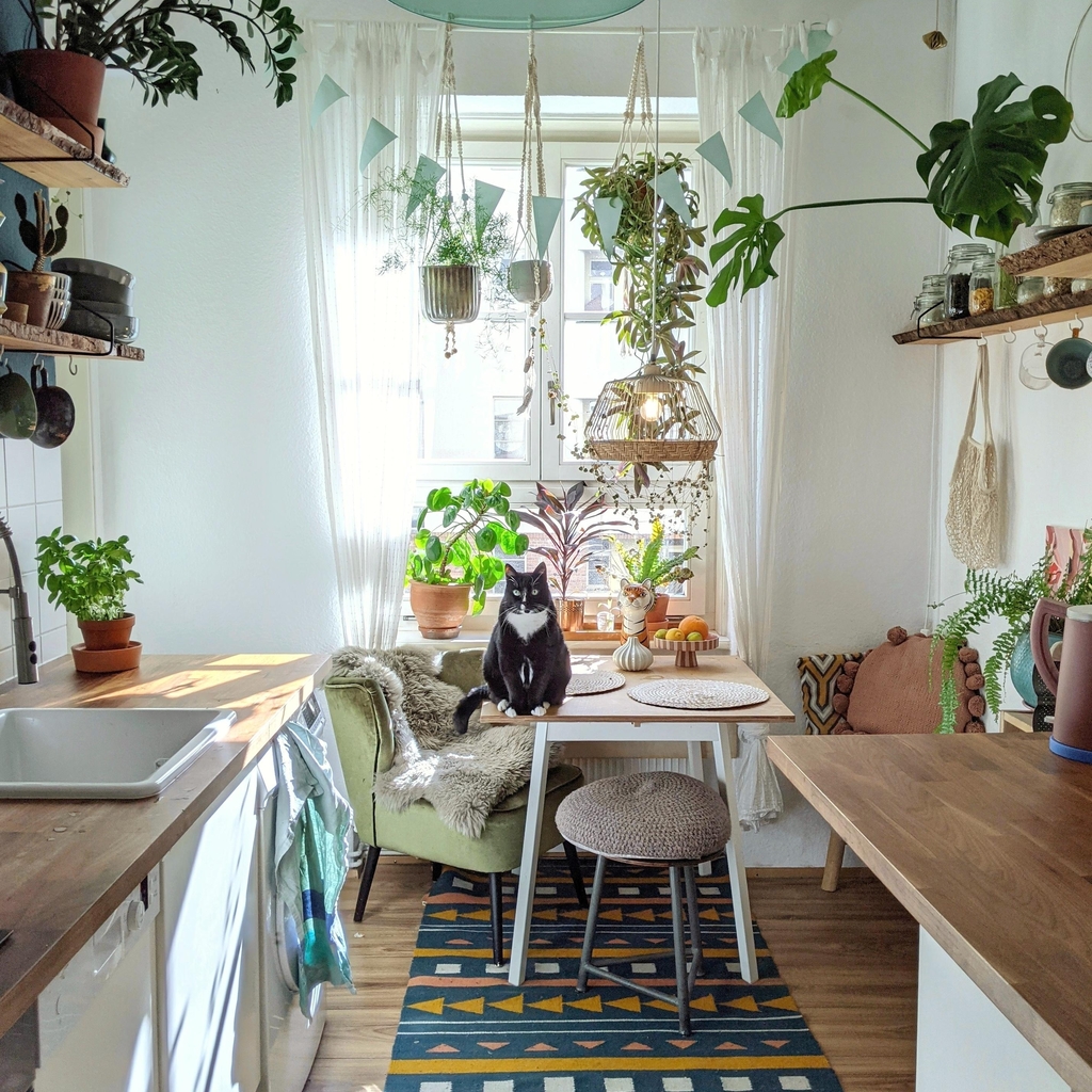 Farbenfroh • Bilder & Ideen • COUCH