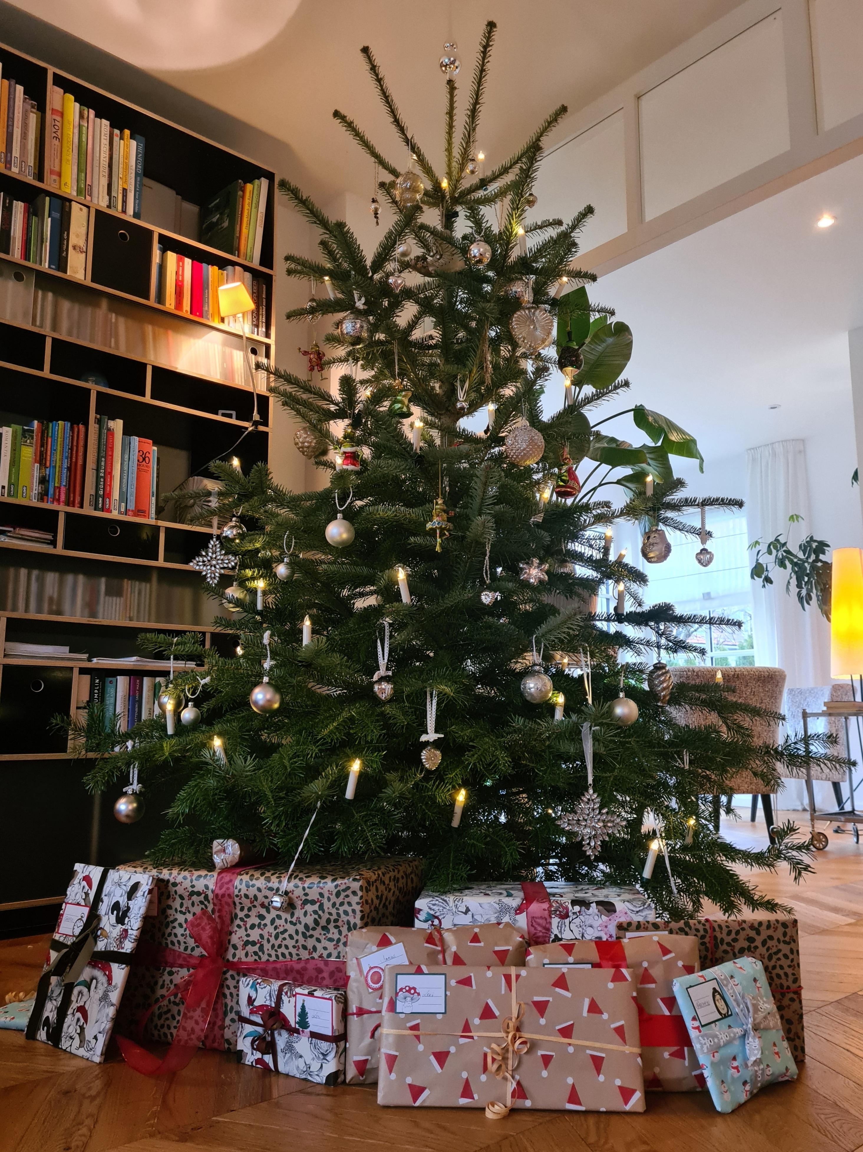 Frohe Weihnachten 🎄🌟♥️
...und ein friedliches neues Jahr.
#christmas #weihnachten #tannenbaum