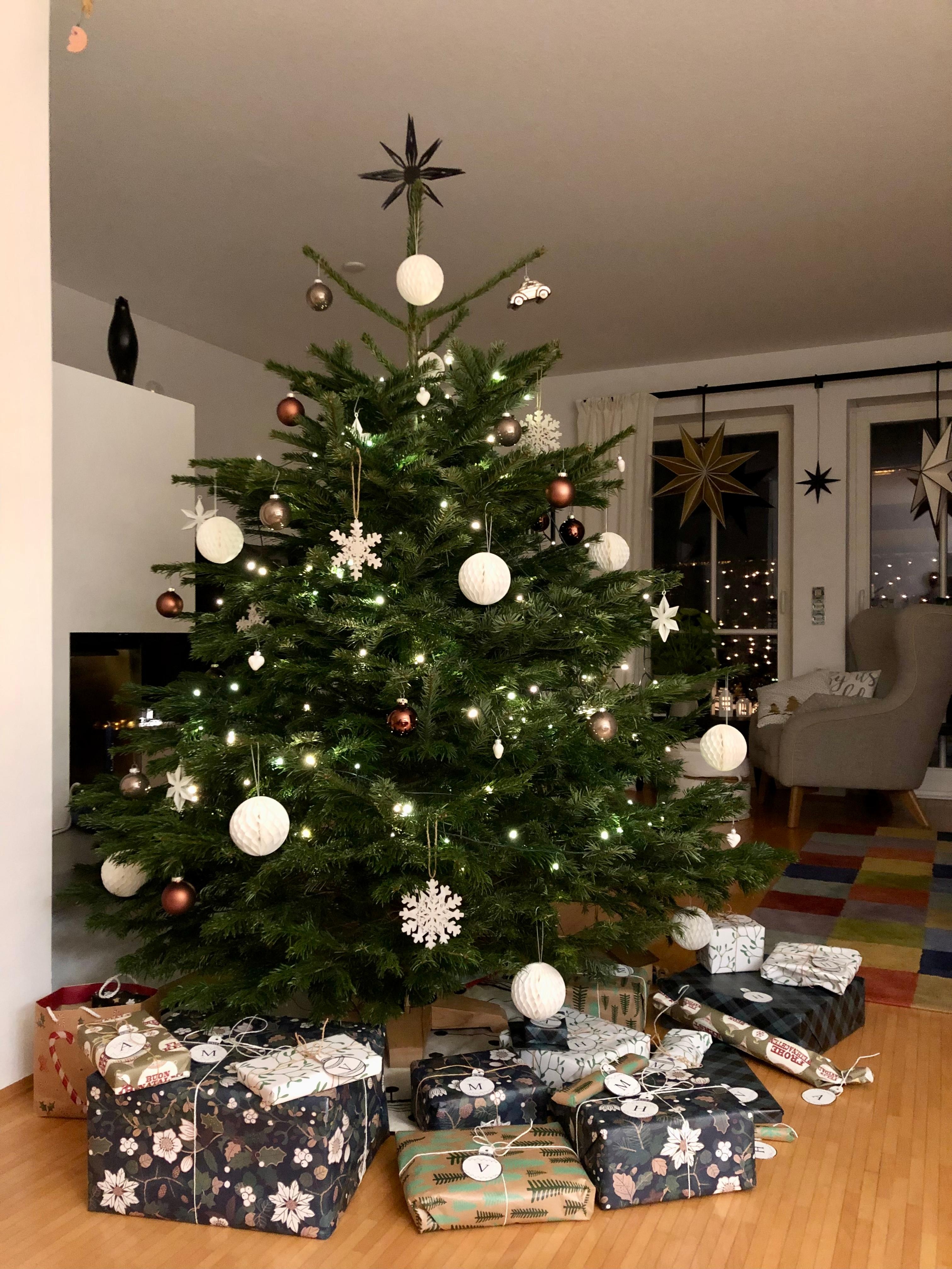 Frohe Weihnachten 🎄 #weihnachtsbaum #xmas #froheweihnachten
