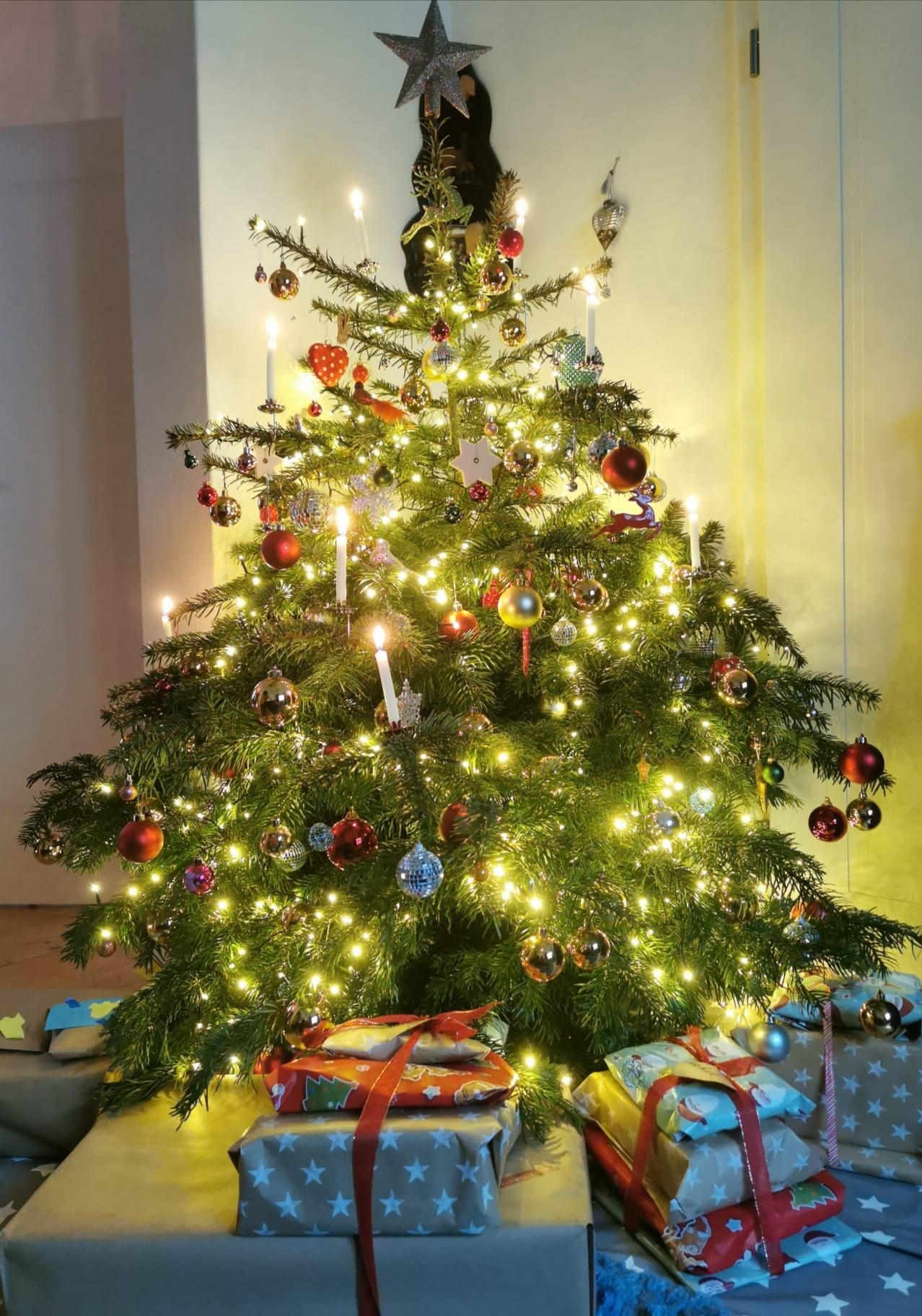 Frohe Weihnachten!... #christmas #weihnachtsdeko #weihnachtsbaum #tannenbaum