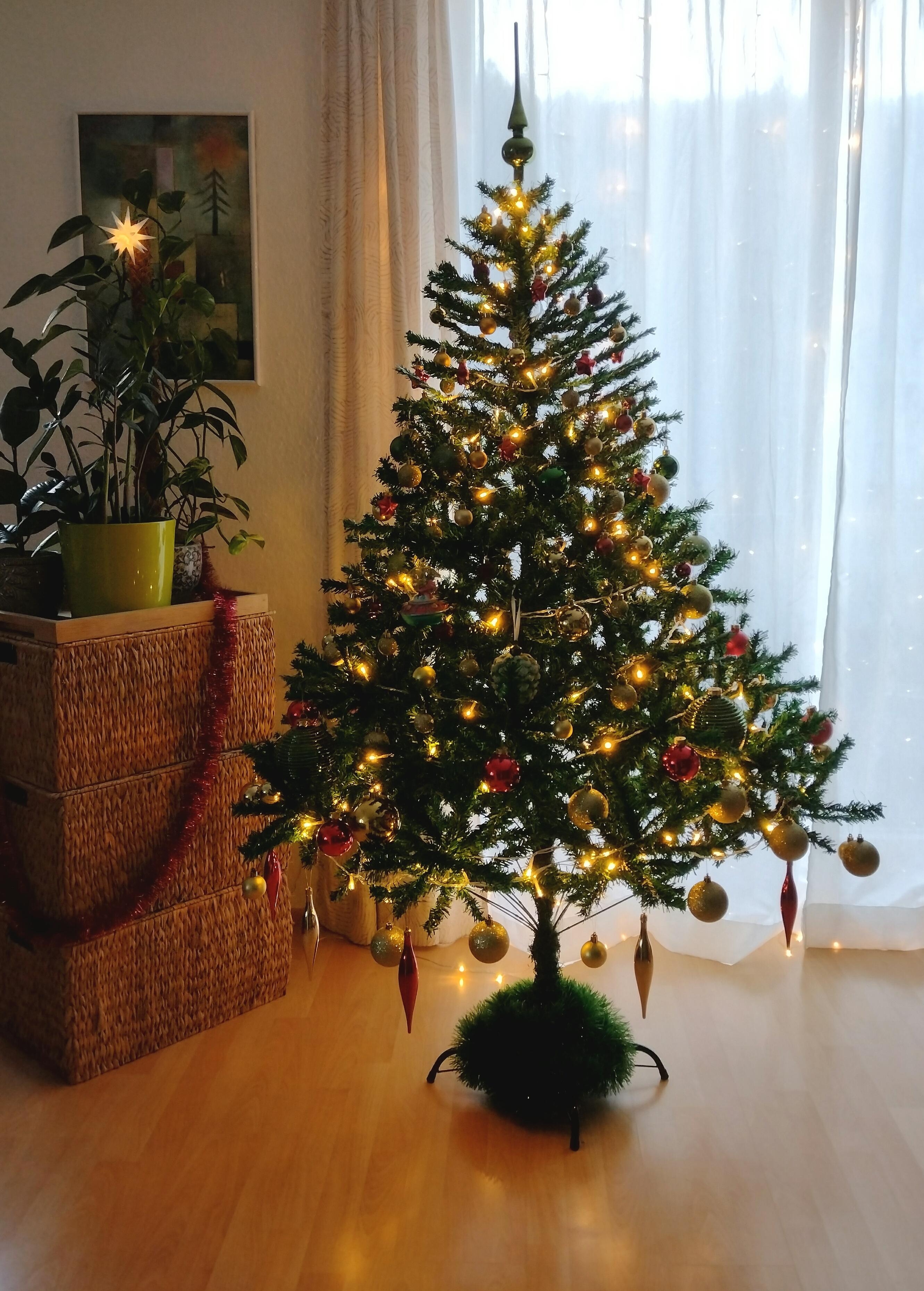 Frohe Weihnachten, ihr Lieben ✨🎄✨
#weihnachtsbaum #tannenbaum