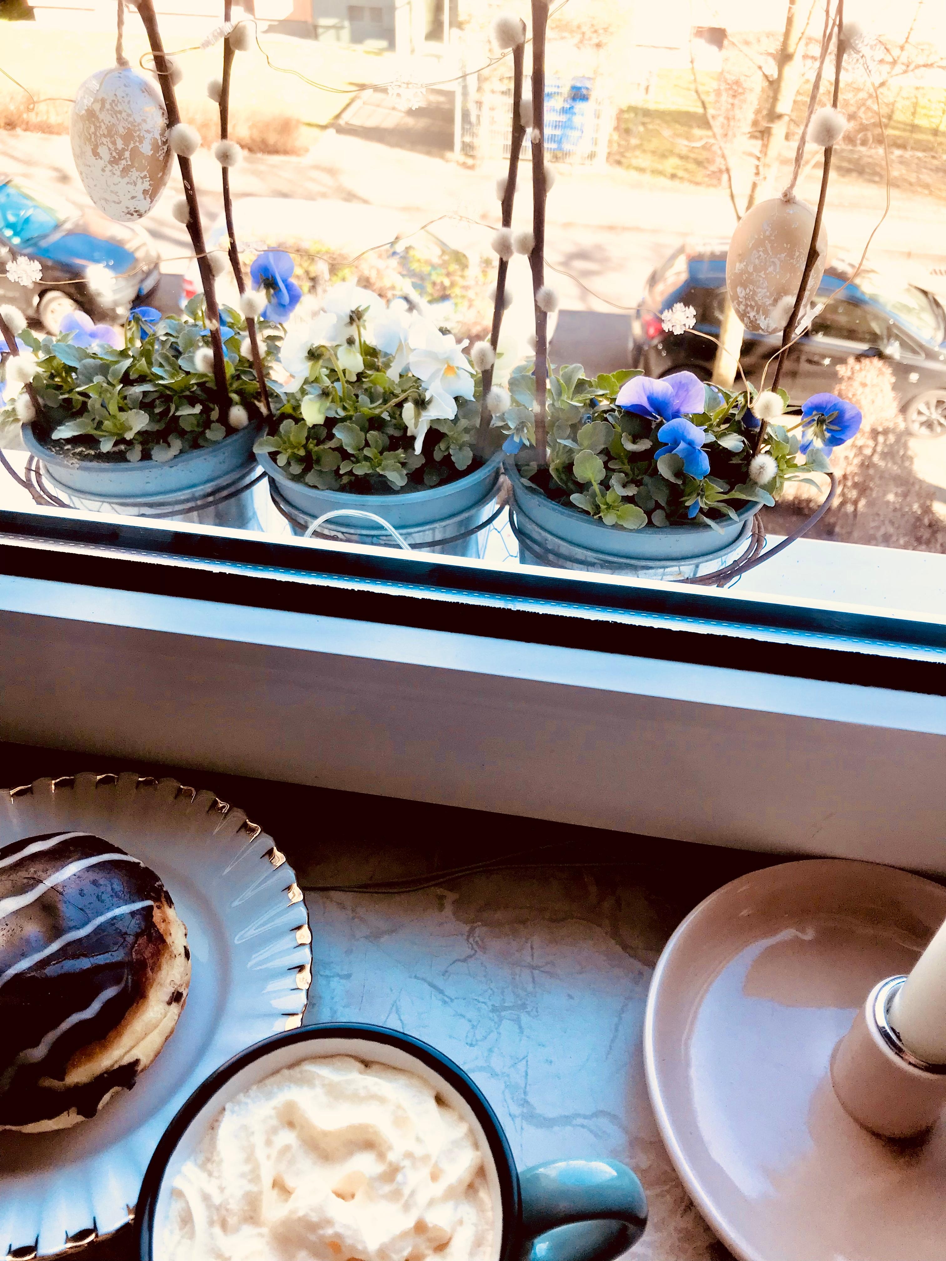 Frühling auf der Fensterbank 🌿
#flower #ostereier
 #fensterdeko #home 
#küche #cafe #happy 