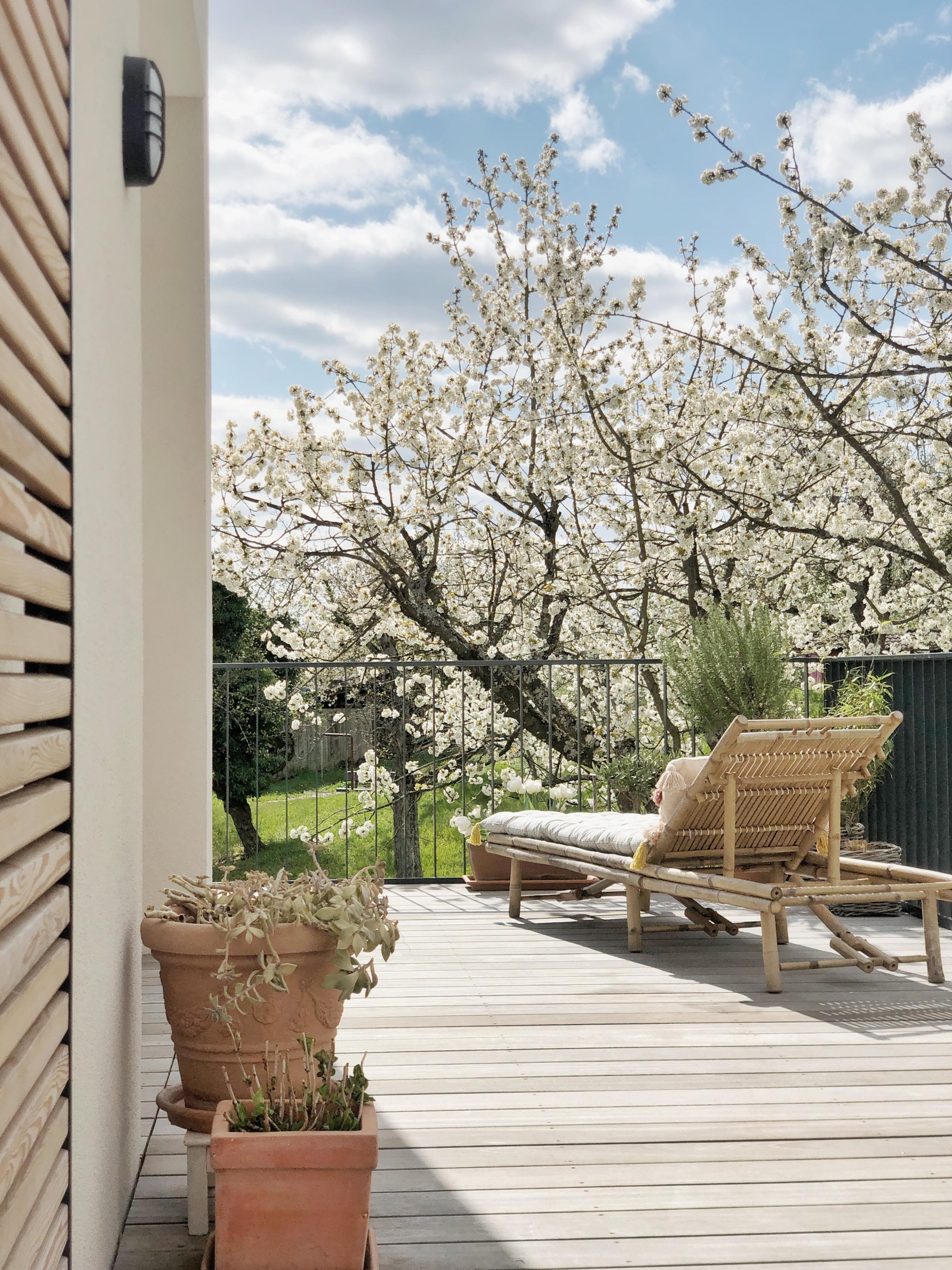 Frühling auf der Terrasse!
#terrasse#terrace#spring#garden#outdoor#freisitz#liegestuhl
