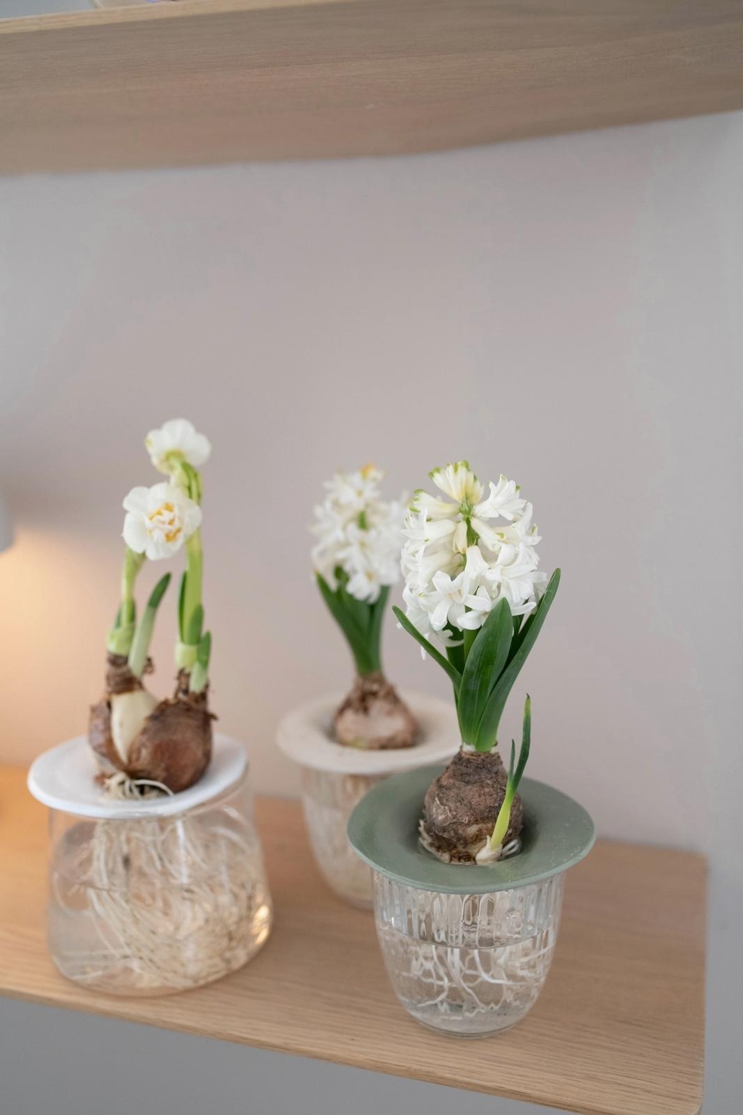 Frühling in Sicht

#diydeko modelliermasse #hyazinthenglas #frühling #diy