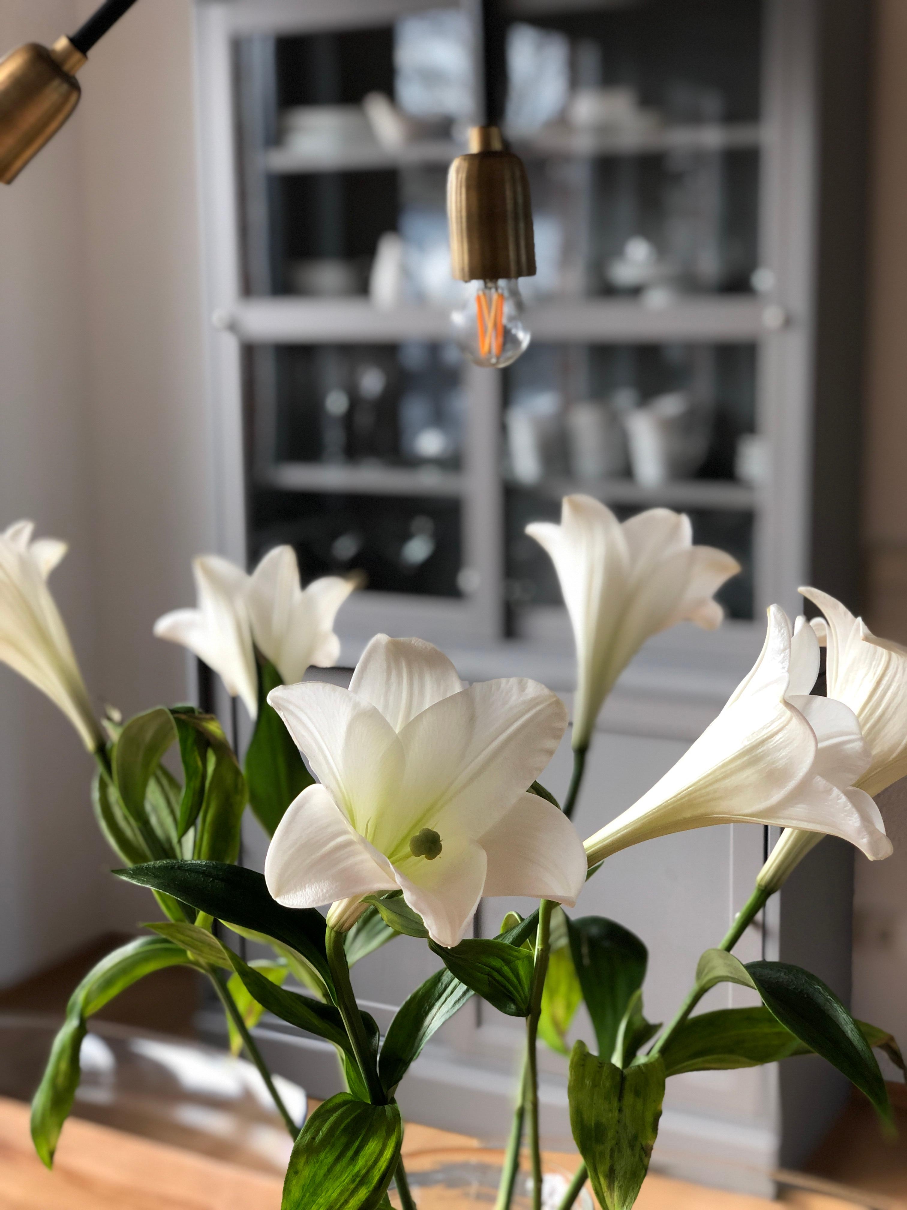 Frühling kann kommen! 
#lilies #esszimmer #loft #neuewohnung